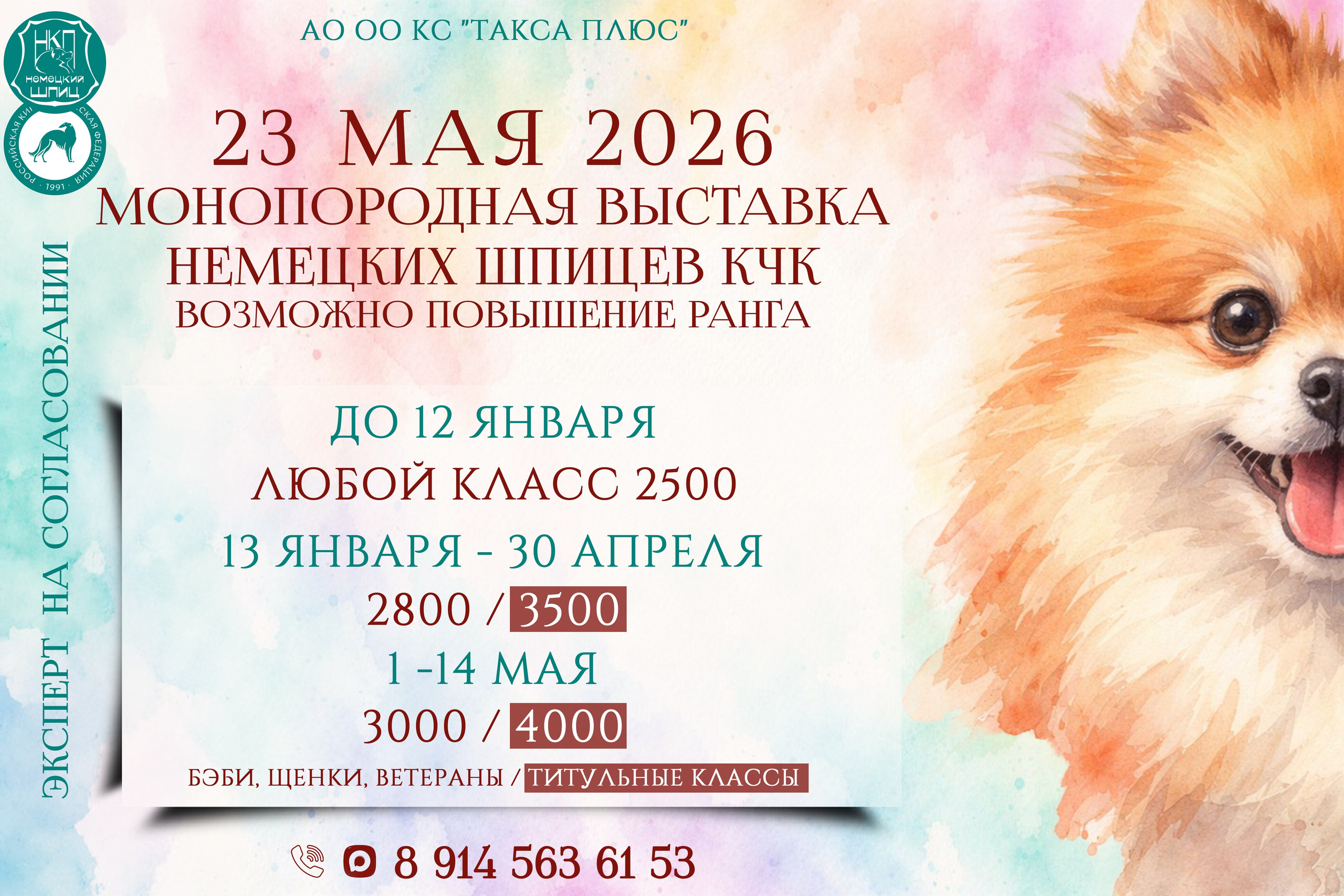 Анонсы мероприятий. Фотограф анималист Благовещенск. Сафонова Виктория