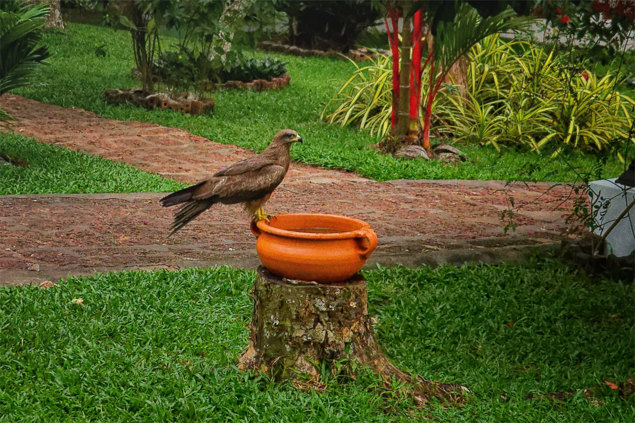 ПРИРОДА. Слепки времени. Фотографии природы и событий. Москва. Сергей Аллагулов