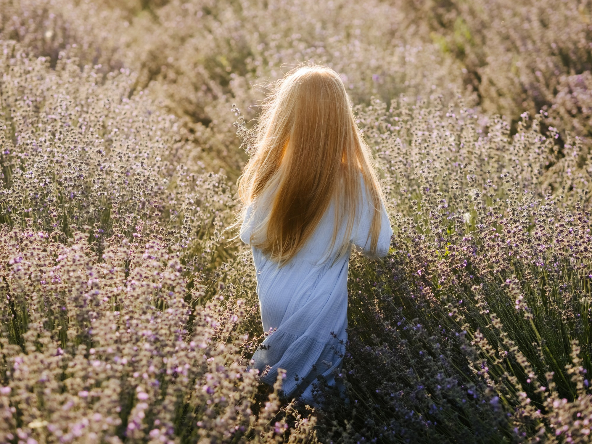 Лаванда. Семейный, детский, свадебный, фотограф в городе Анапа