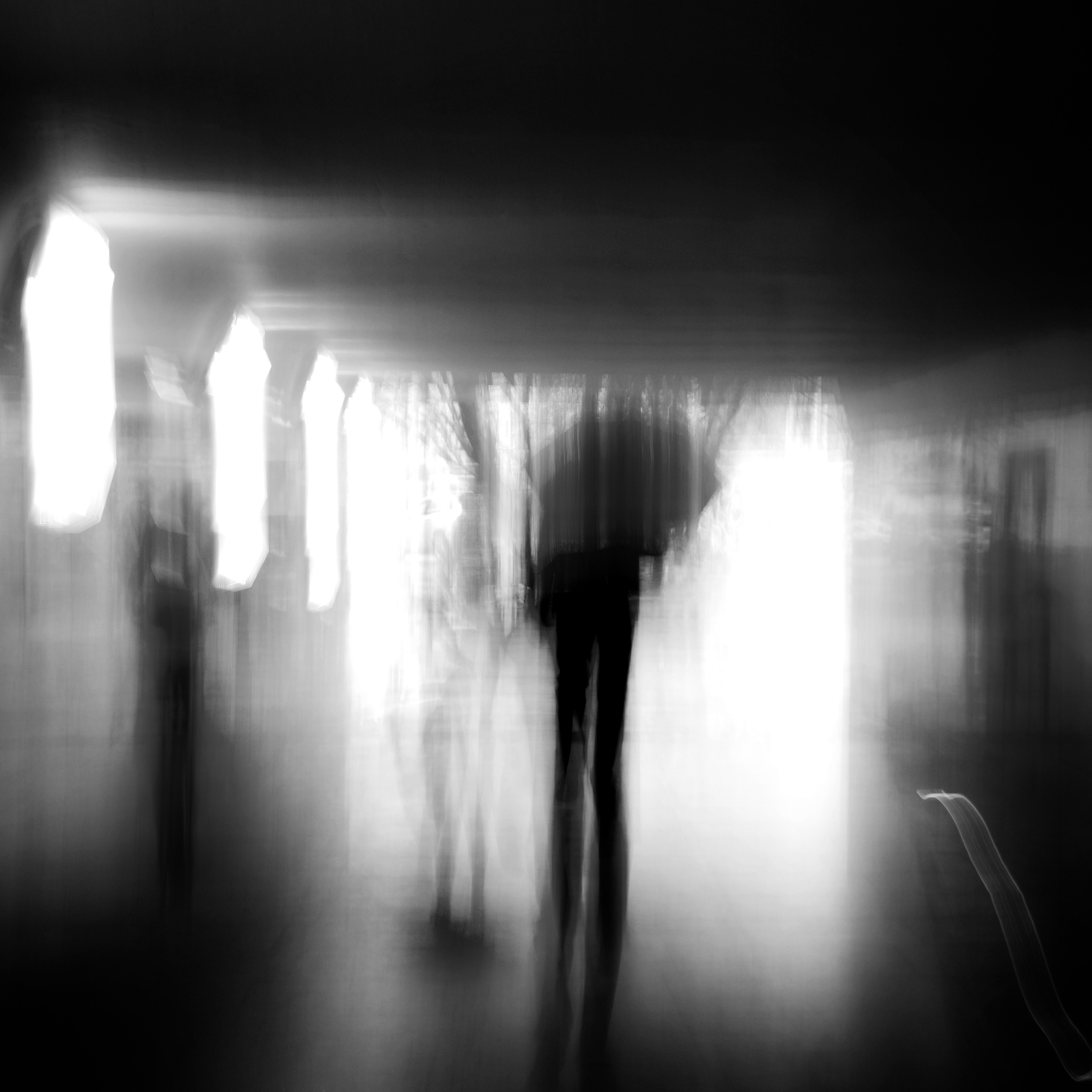 Primavera. Metagraphy