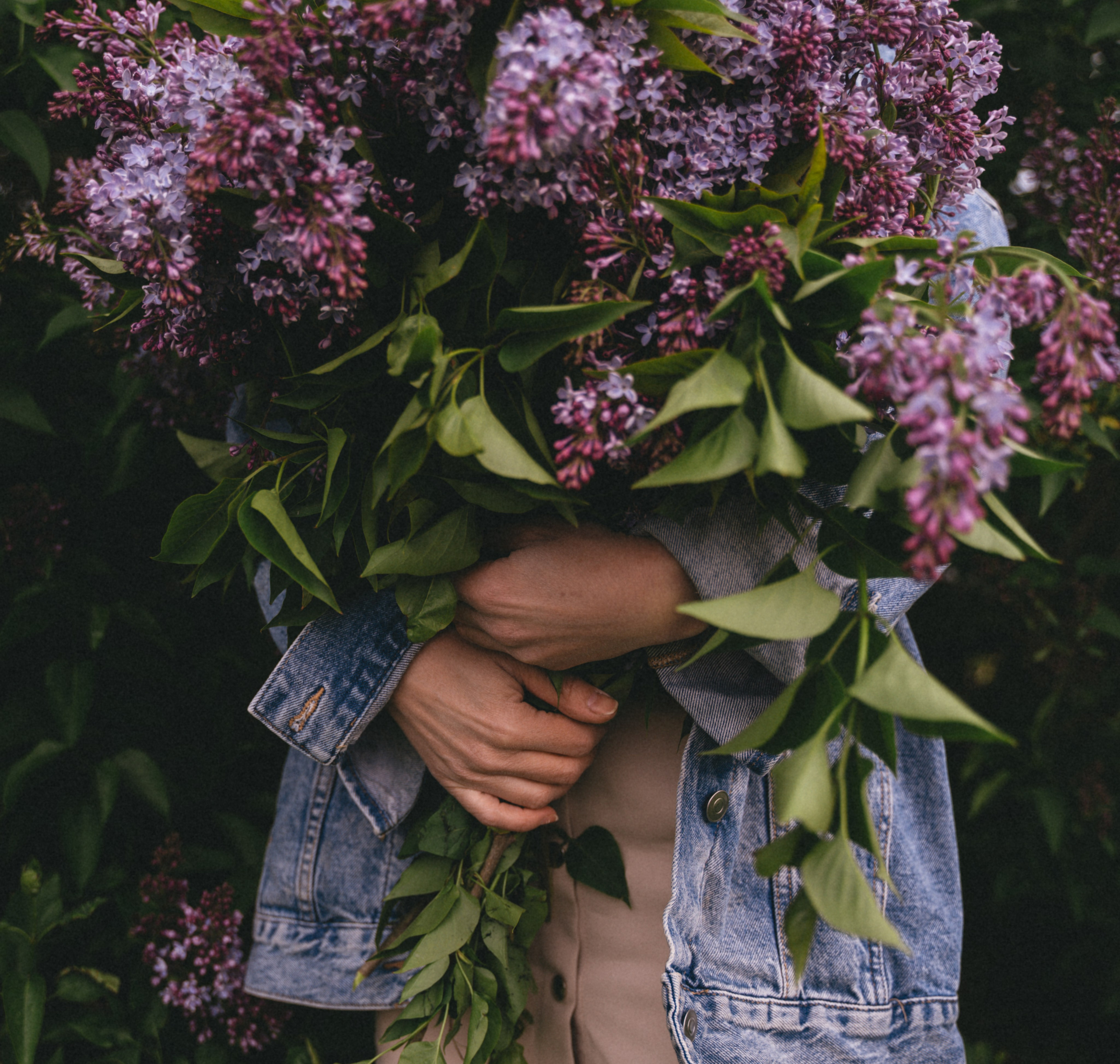 Сирень…. FotoTanya. Раменское/Жуковский/Бронницы