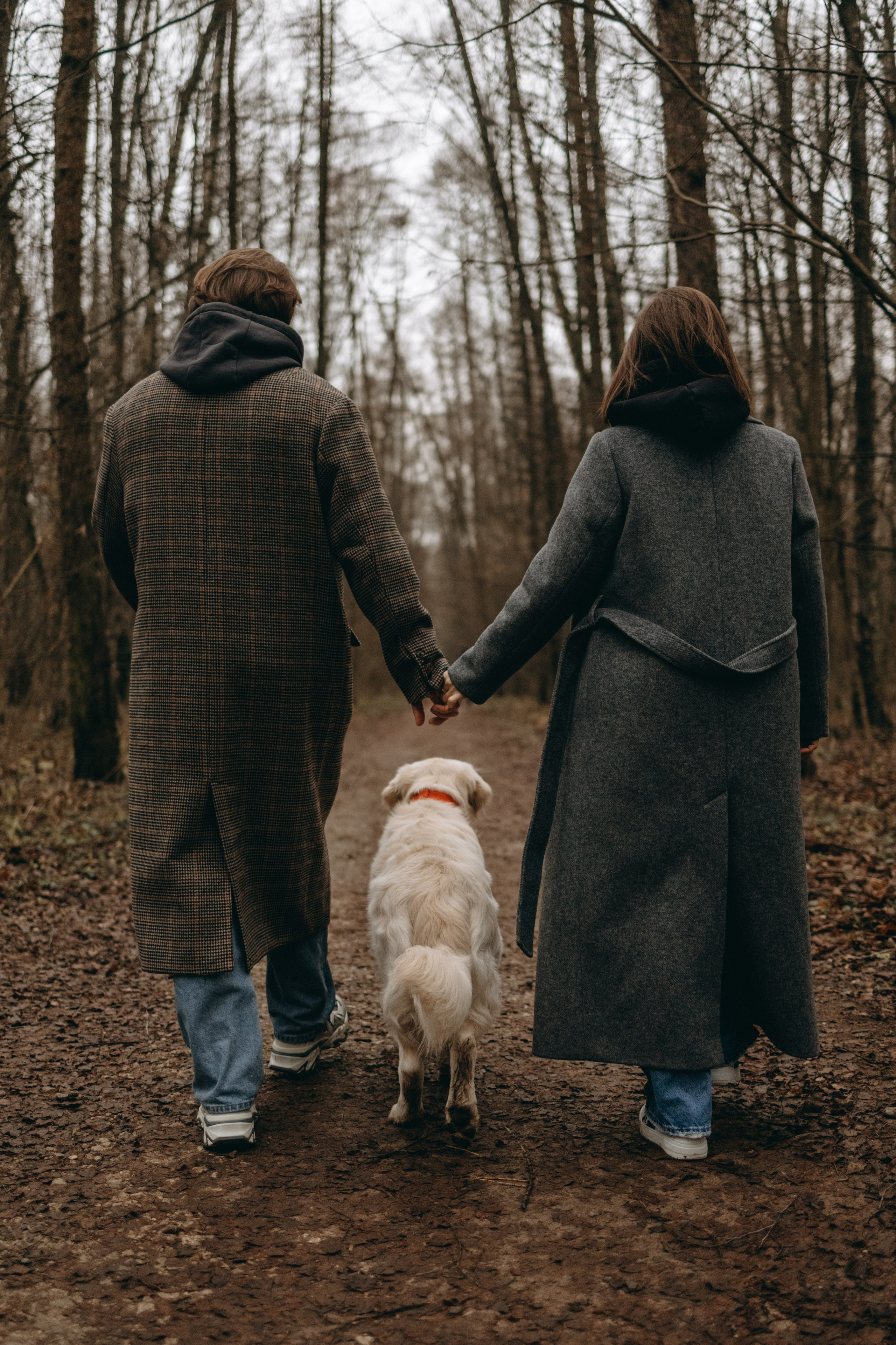Лаки и его семья. Фотограф — Анималист | Санкт-Петербург