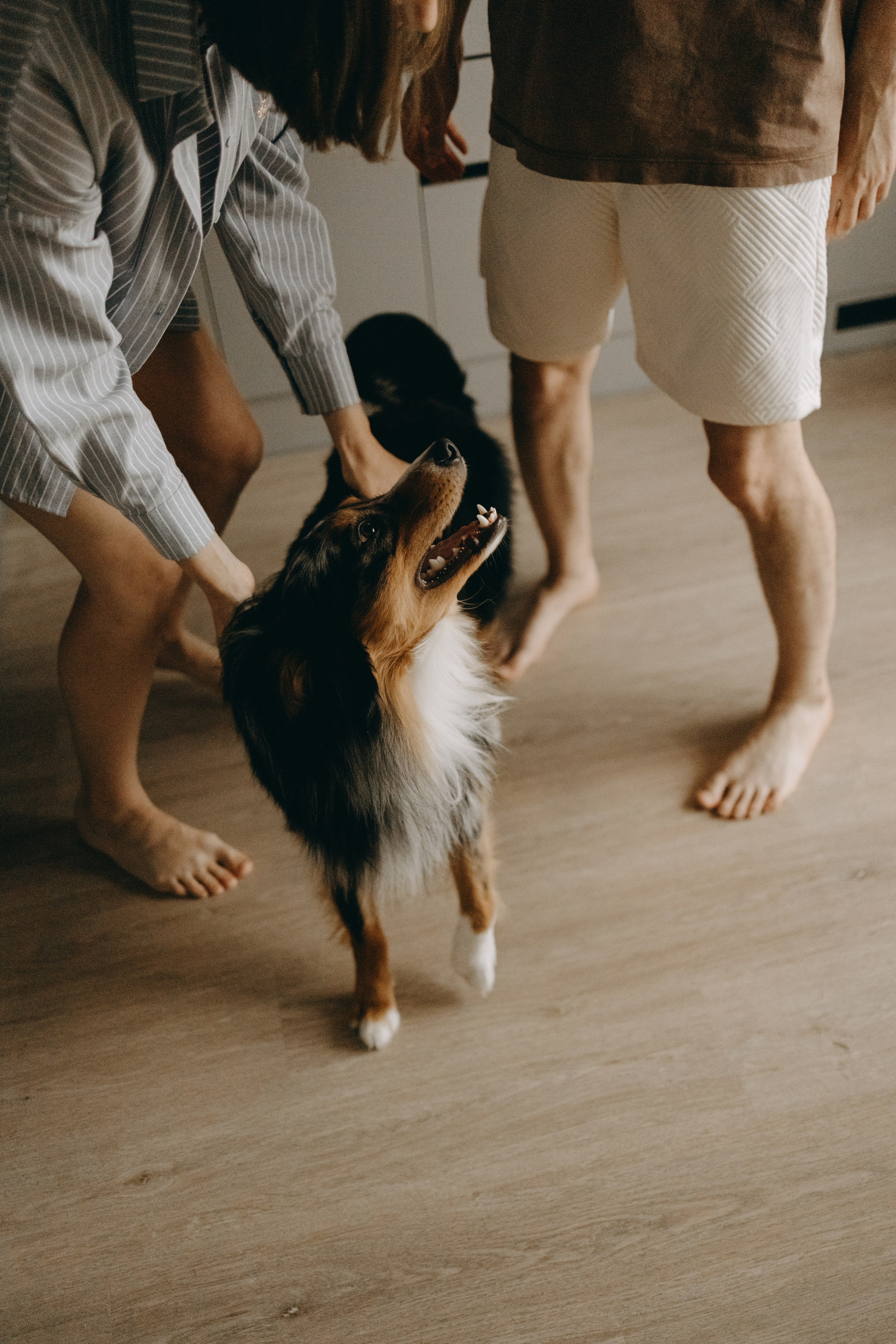 Настя, Никита и их Гром и Мяу. Фотограф — Анималист | Санкт-Петербург