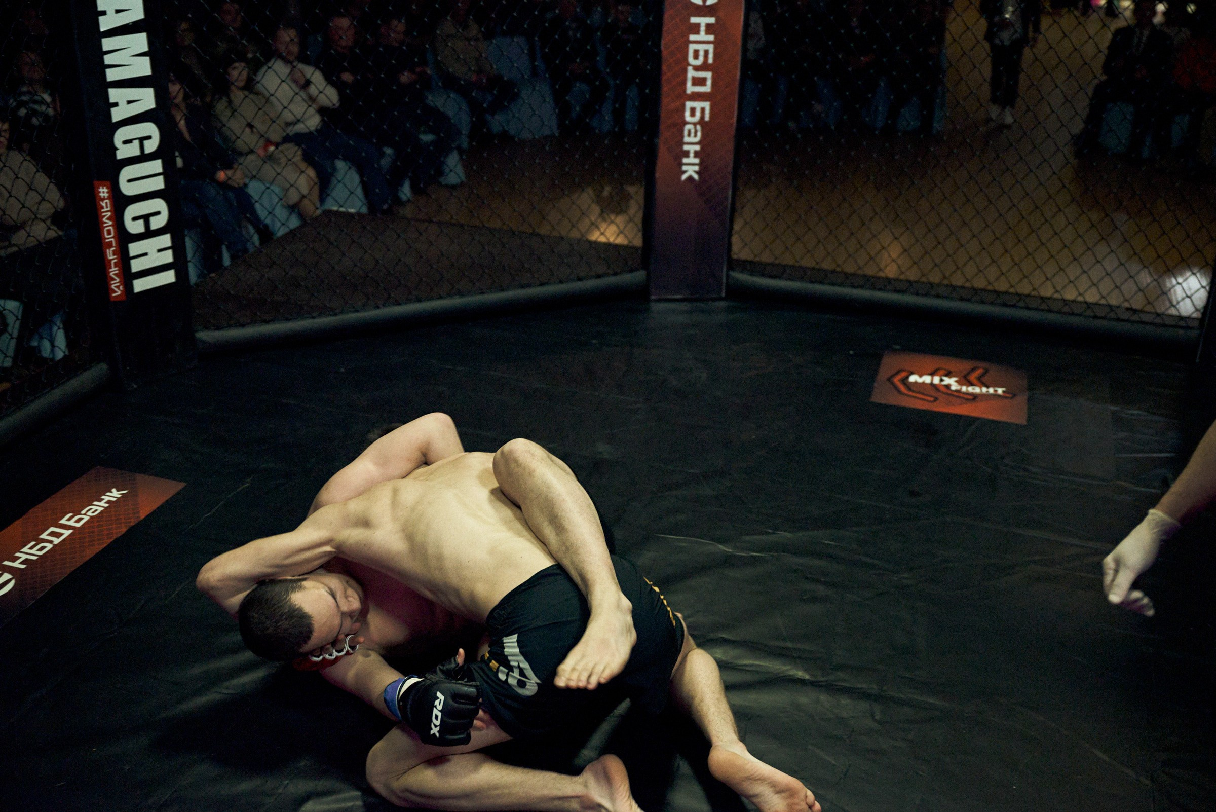 Бои. Маляревич Дмитрий свадебный фотограф