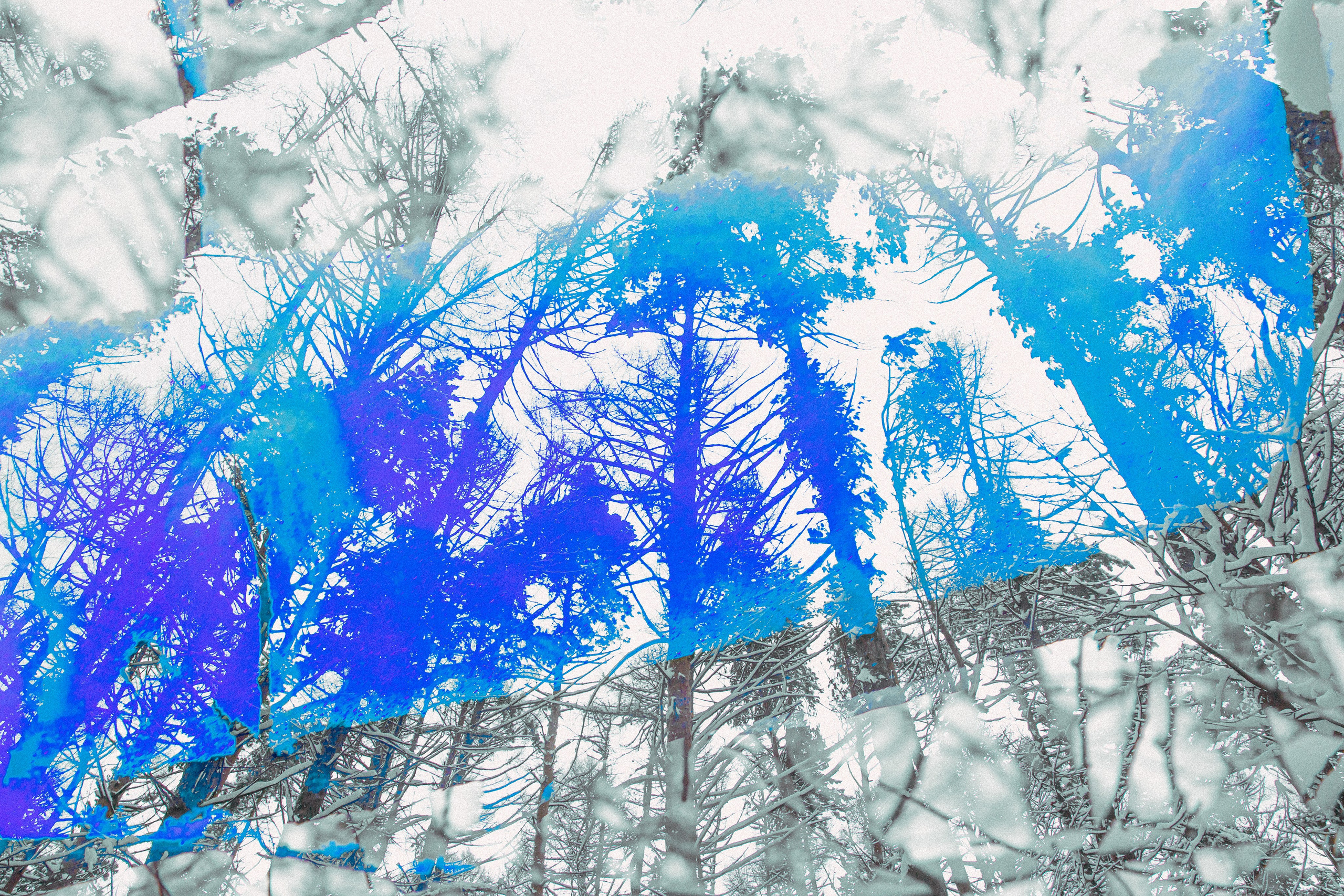 ИГГДРАСИЛЬ, 2025-2026. АННА ВЕРСО / ANNA VERSO | Визуальный художник / Visual artist