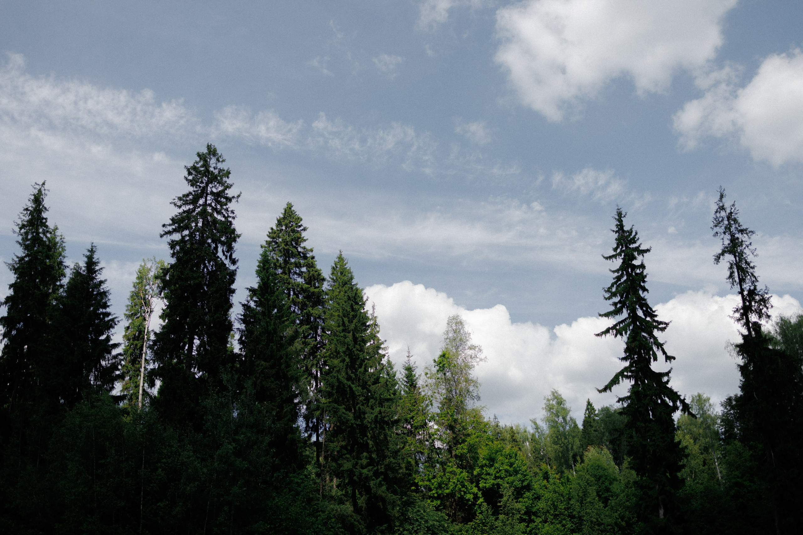 Ренат & Анастасия. RETOUCH-HOUSE