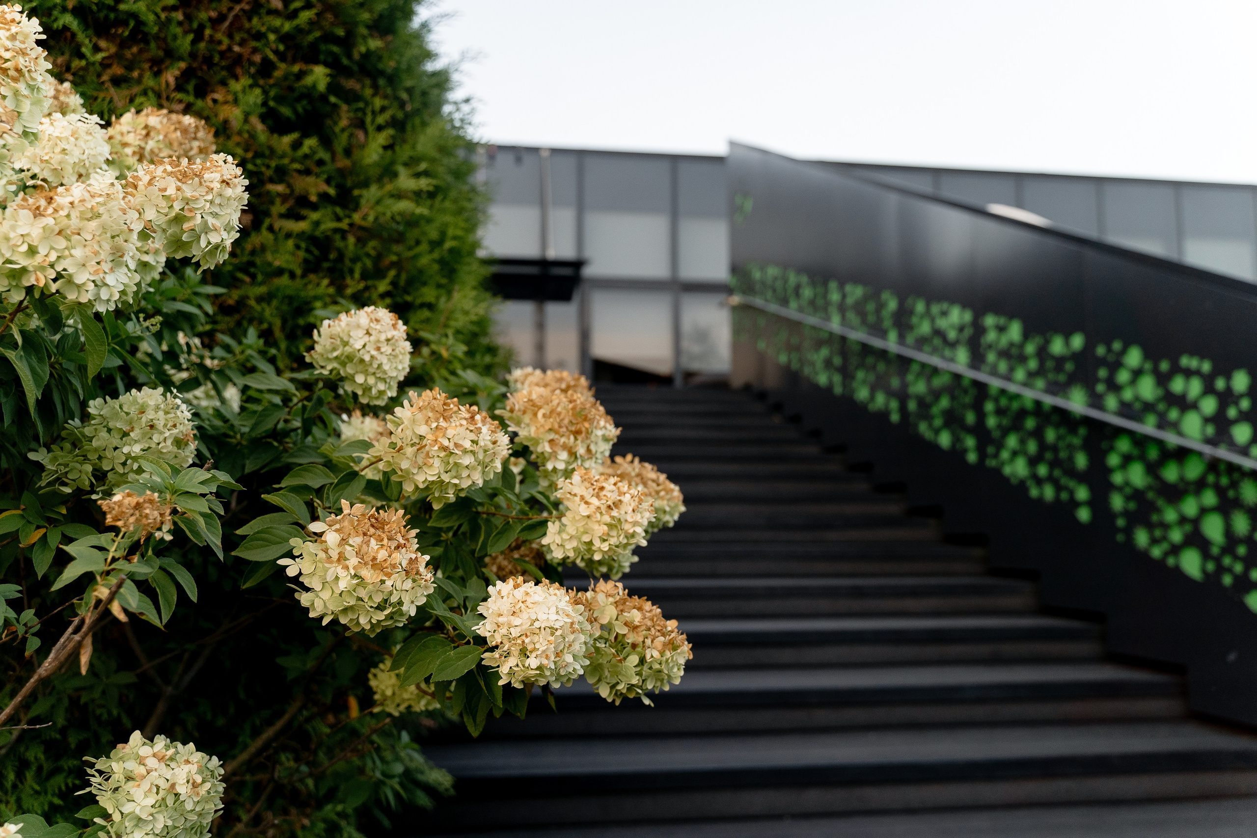 Сергей & Анастасия. RETOUCH-HOUSE