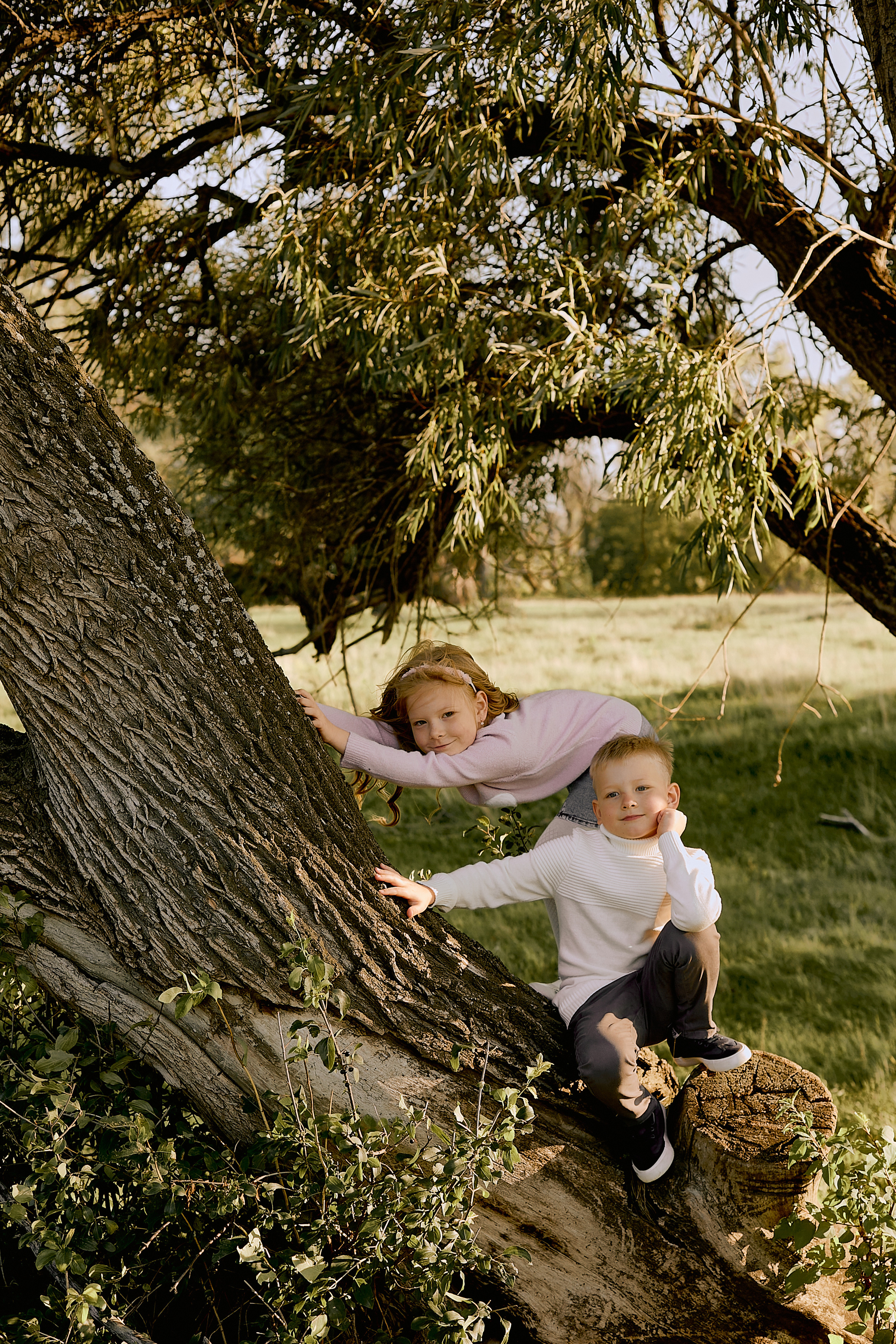 Семейное дерево. Свадебный и семейный фотограф в Магнитогорске Женя Иванова
