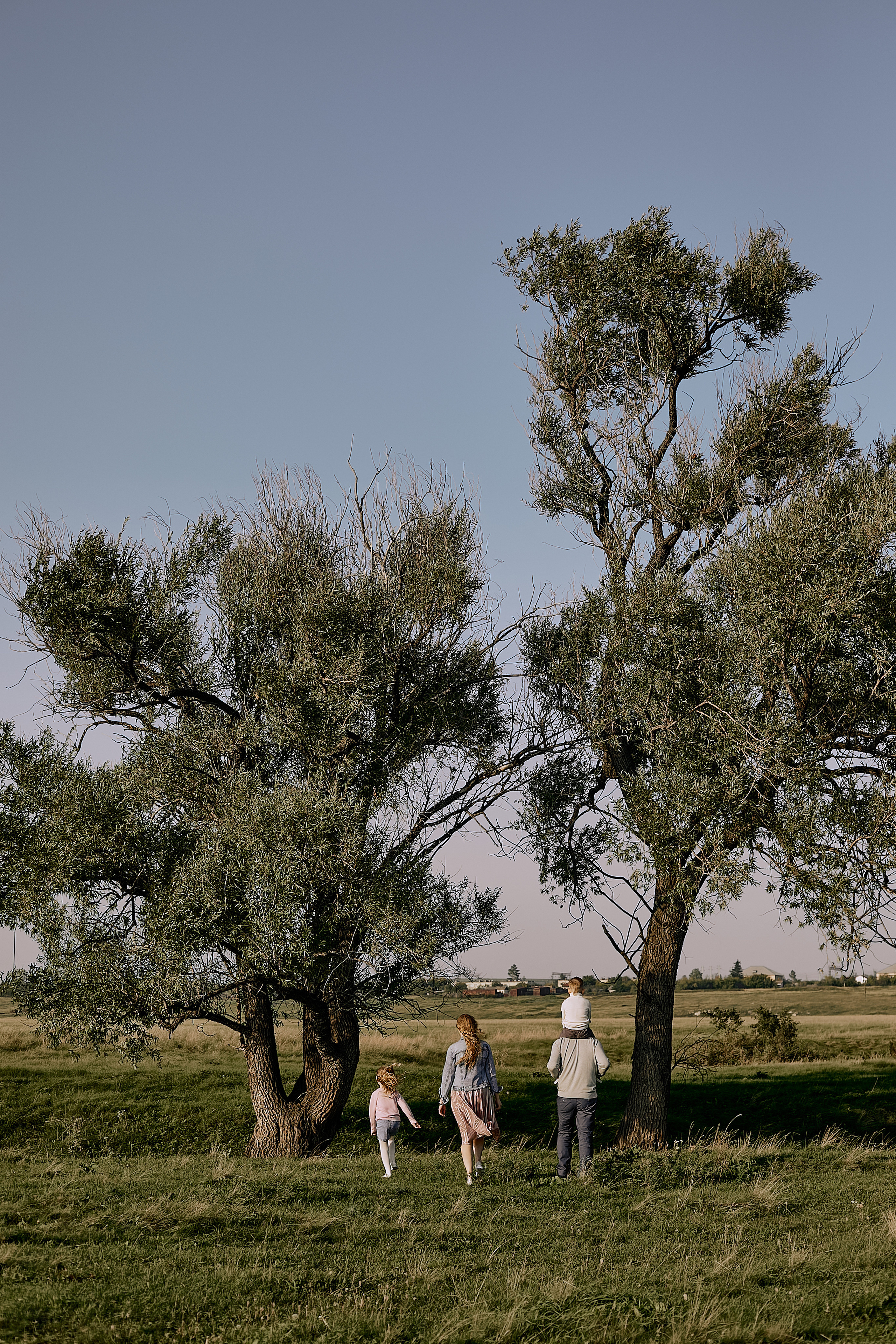 Семейное дерево. Свадебный и семейный фотограф в Магнитогорске Женя Иванова