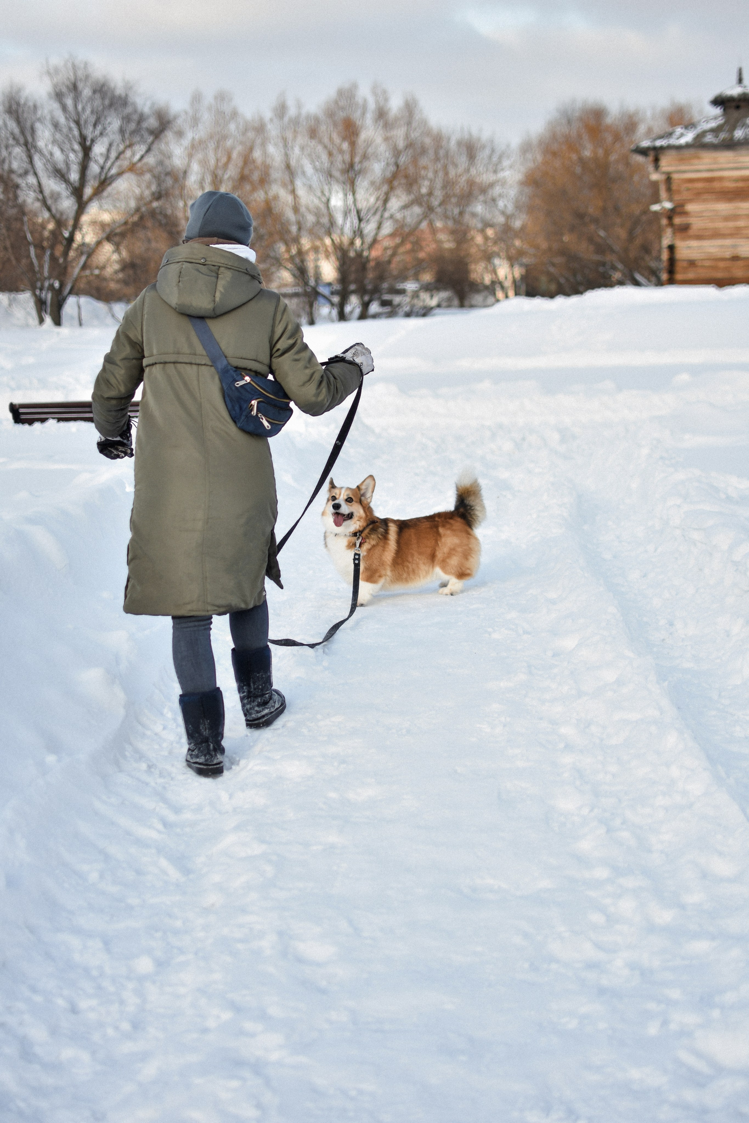 Алекс и Вера. Фотограф-анималист Ксения Шевцова|Москва