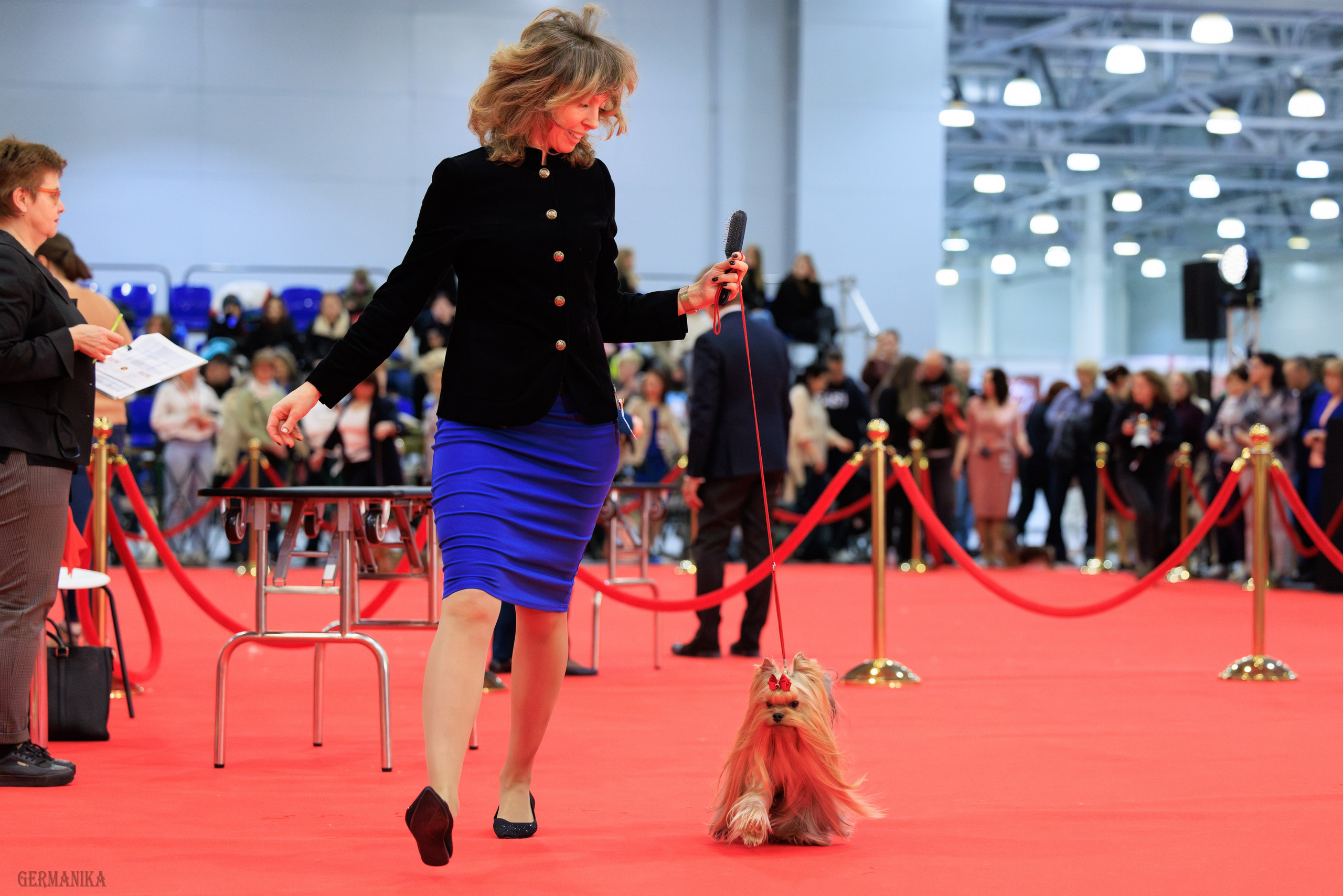 Лучшие Собаки России 17-18.02.2024. Фотограф-анималист Юлия Германика
