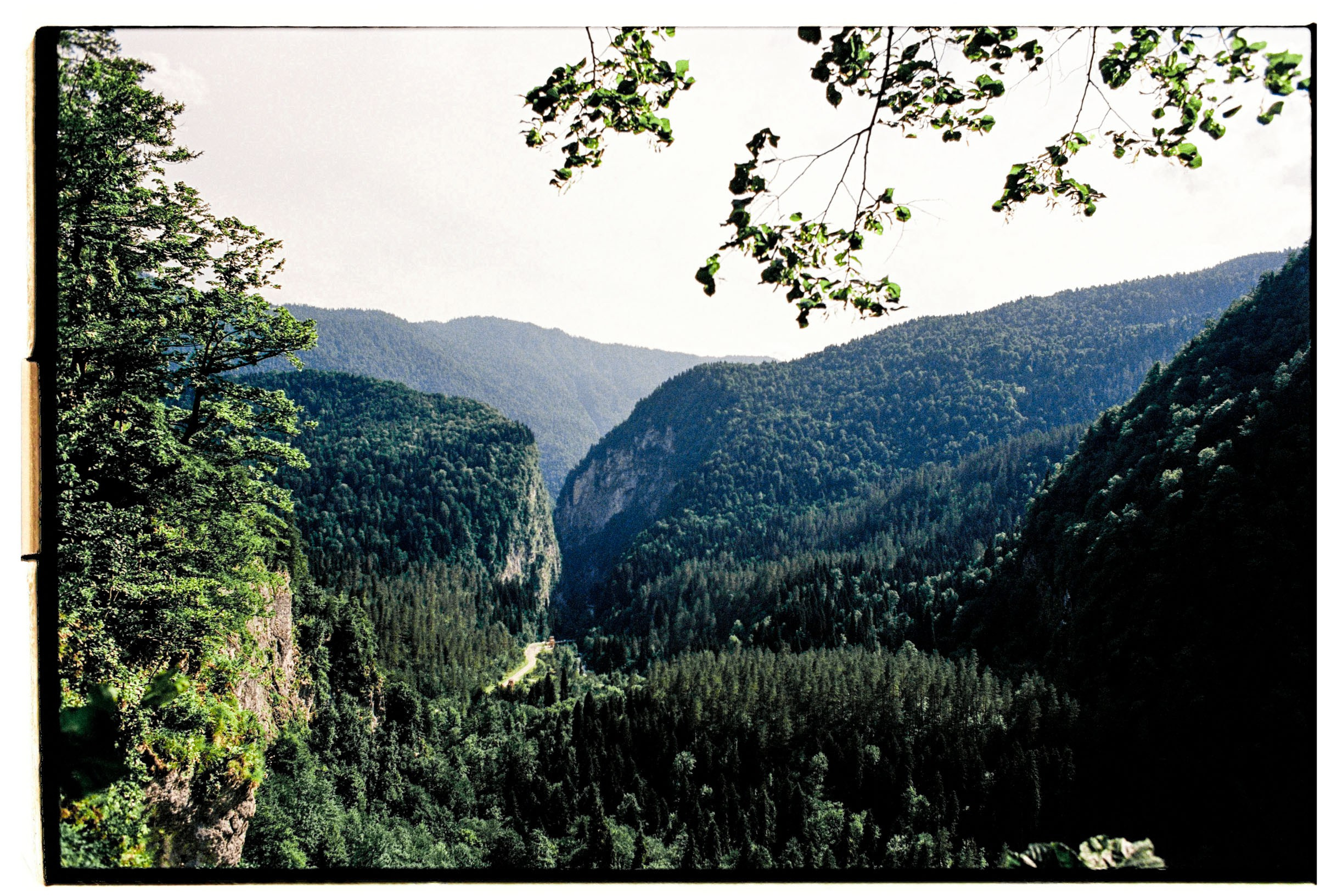 Abkhazia-2023. Никита Демидов. Nikita Demidov