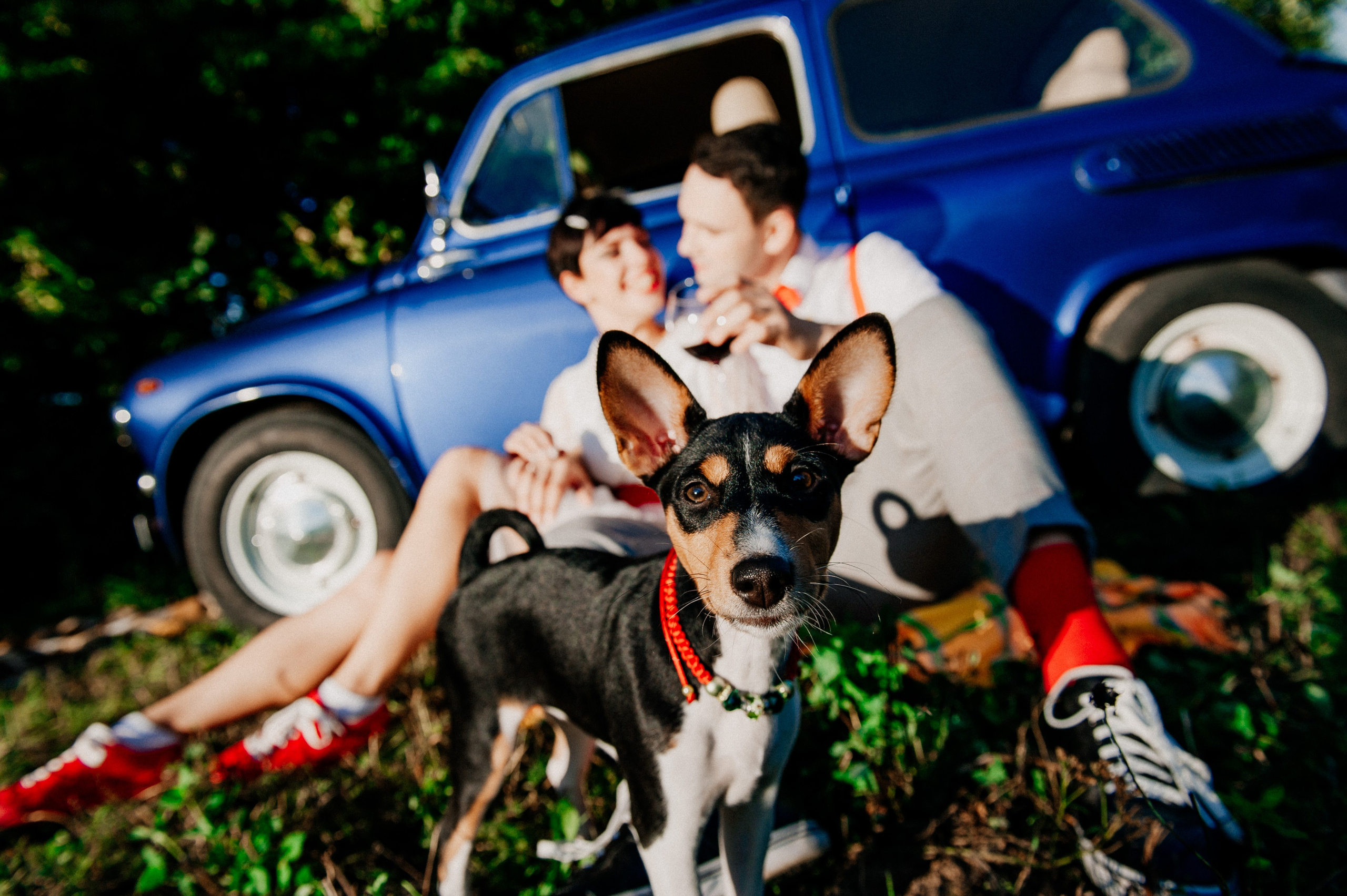 Любовь на закате. Свадебный и семейный фотограф в Минске Филиппович Александр