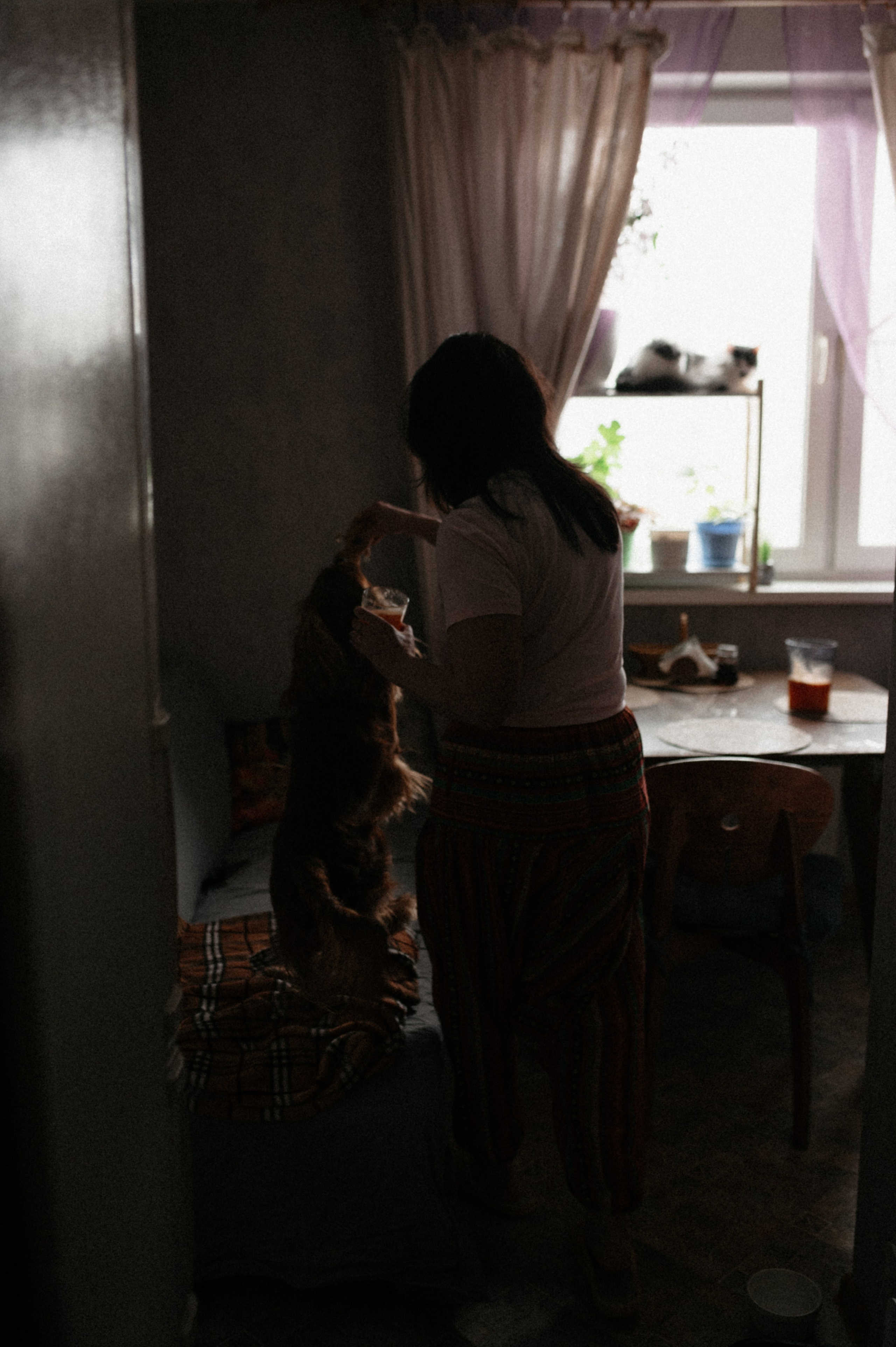 Оля и её меховая банда. Фотограф анималист в Москве Ольга Агушева