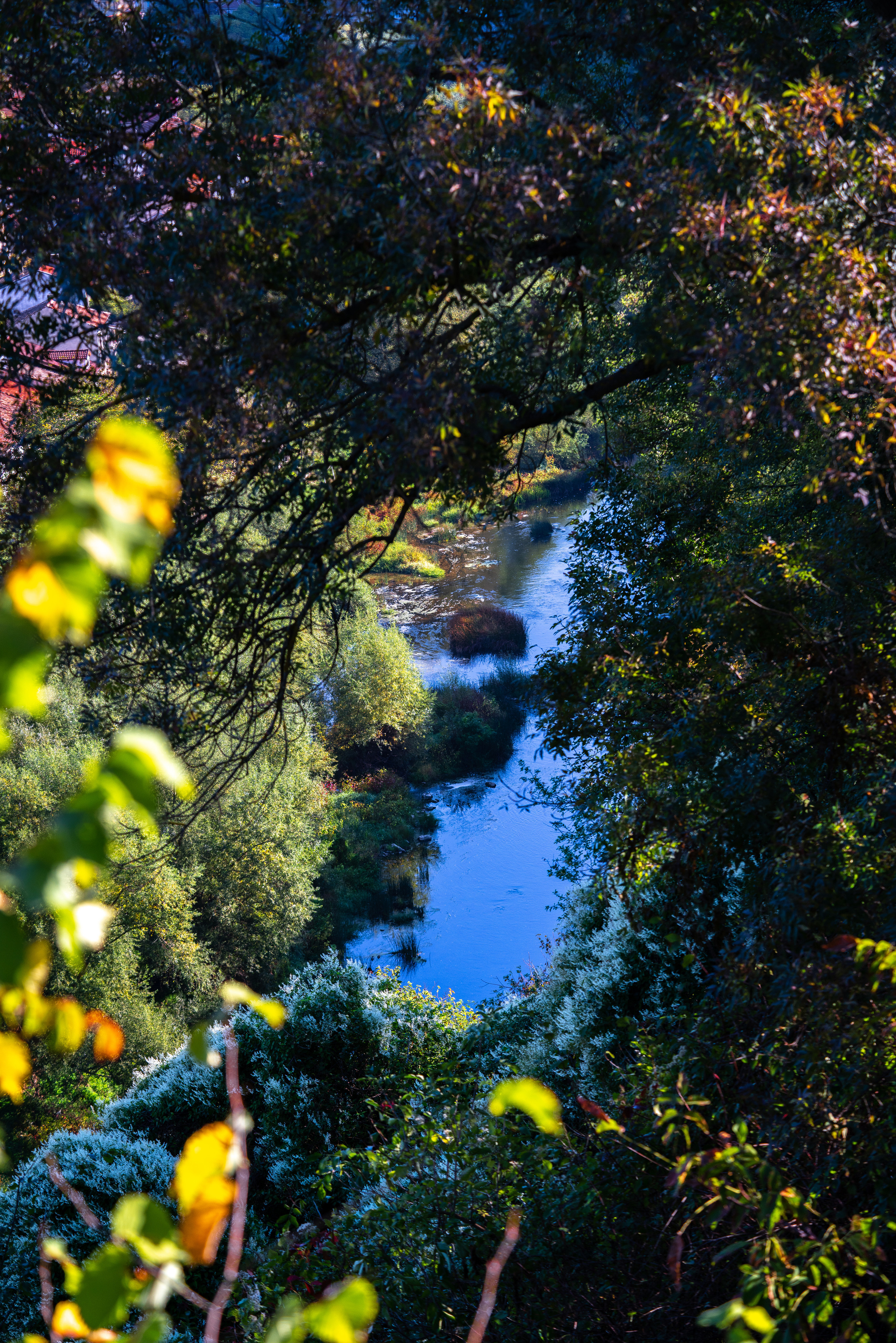 Велико Тырново, Шипка. ПОБУДЬ ЗДЕСЬ И ЦЕЛЕЕ БУДЕТ ЭТОТ МИР