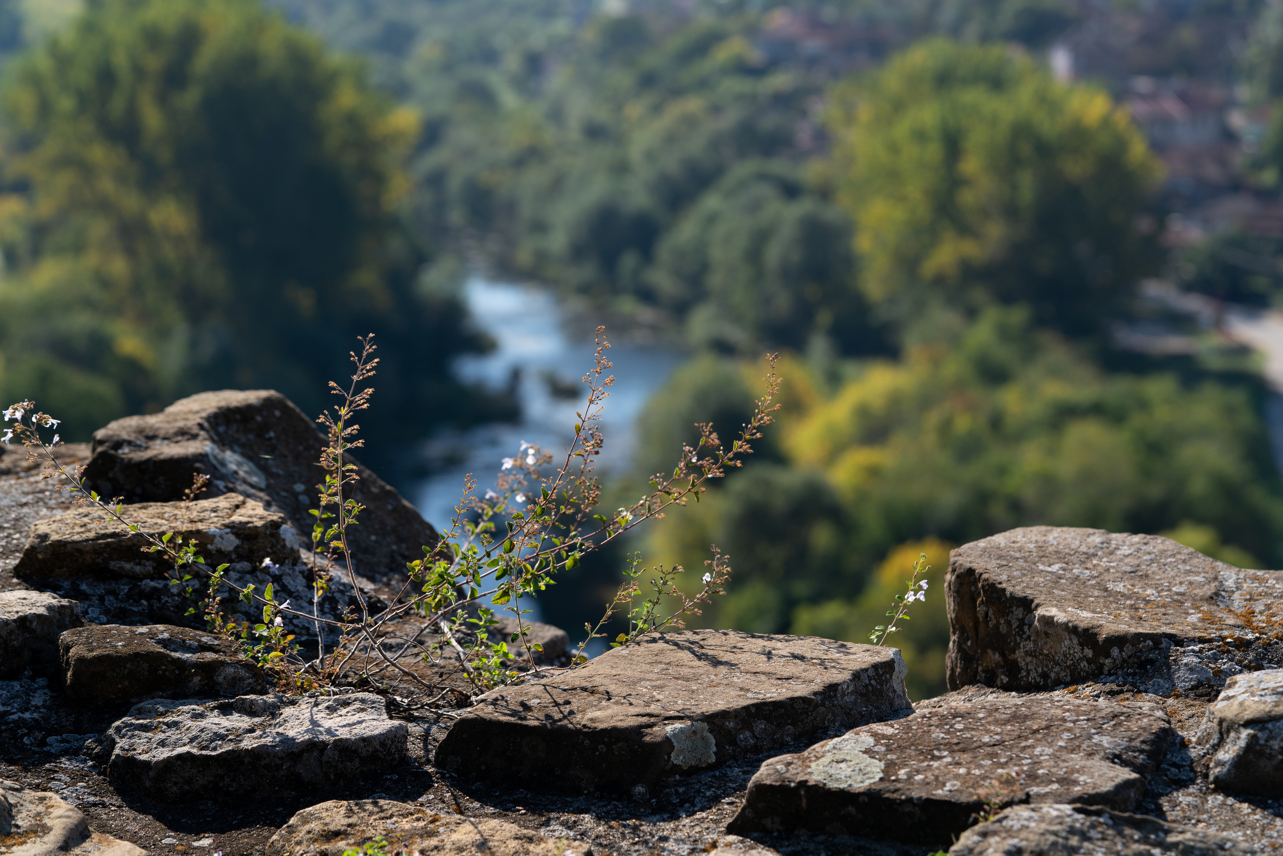Велико Тырново, Шипка. ПОБУДЬ ЗДЕСЬ И ЦЕЛЕЕ БУДЕТ ЭТОТ МИР