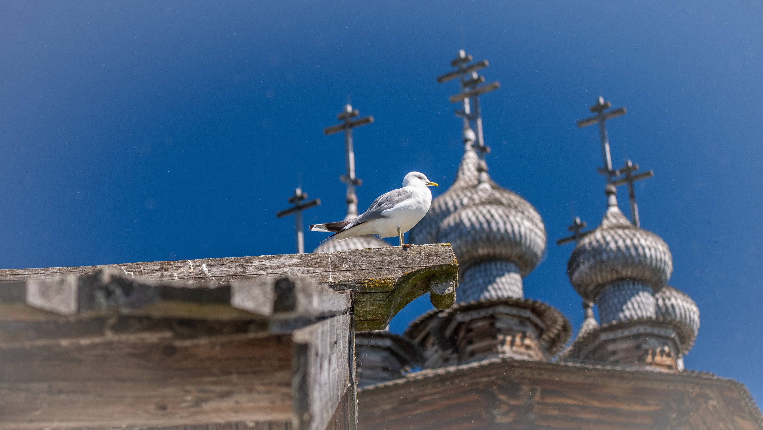 Кижи. ПОБУДЬ ЗДЕСЬ И ЦЕЛЕЕ БУДЕТ ЭТОТ МИР