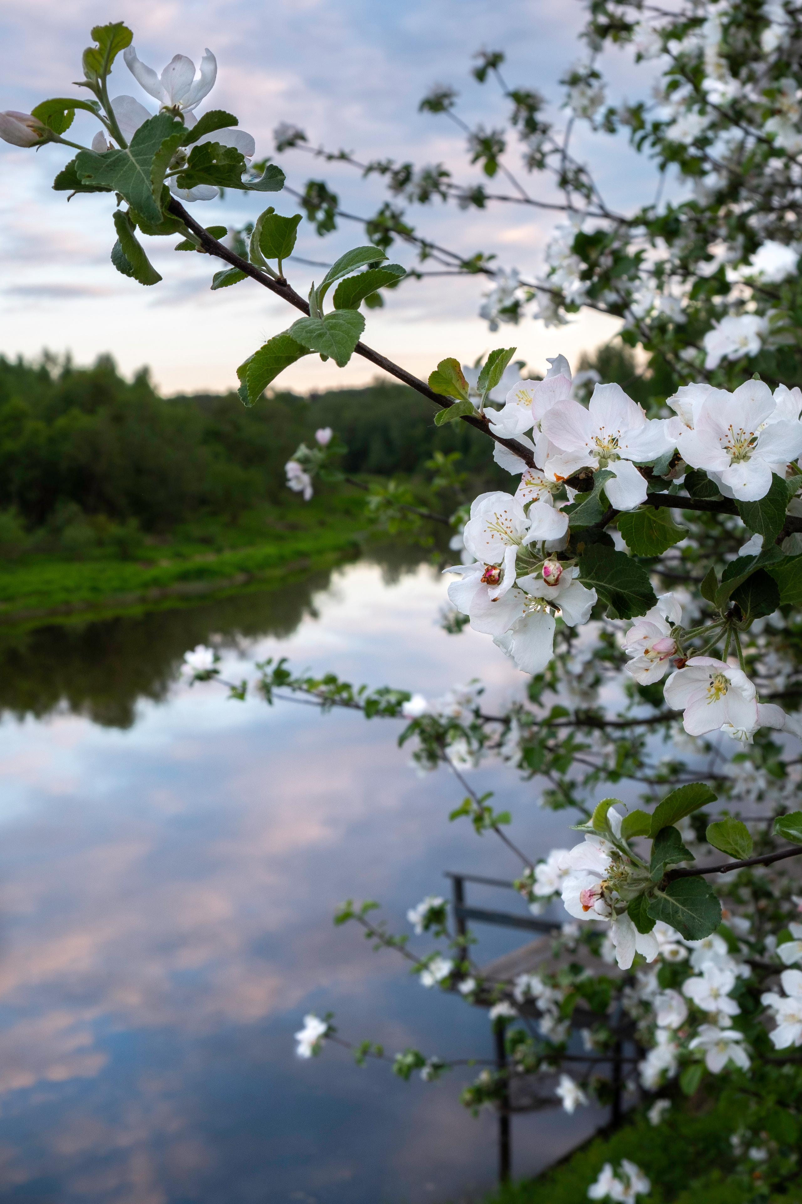 Дача. ПОБУДЬ ЗДЕСЬ И ЦЕЛЕЕ БУДЕТ ЭТОТ МИР