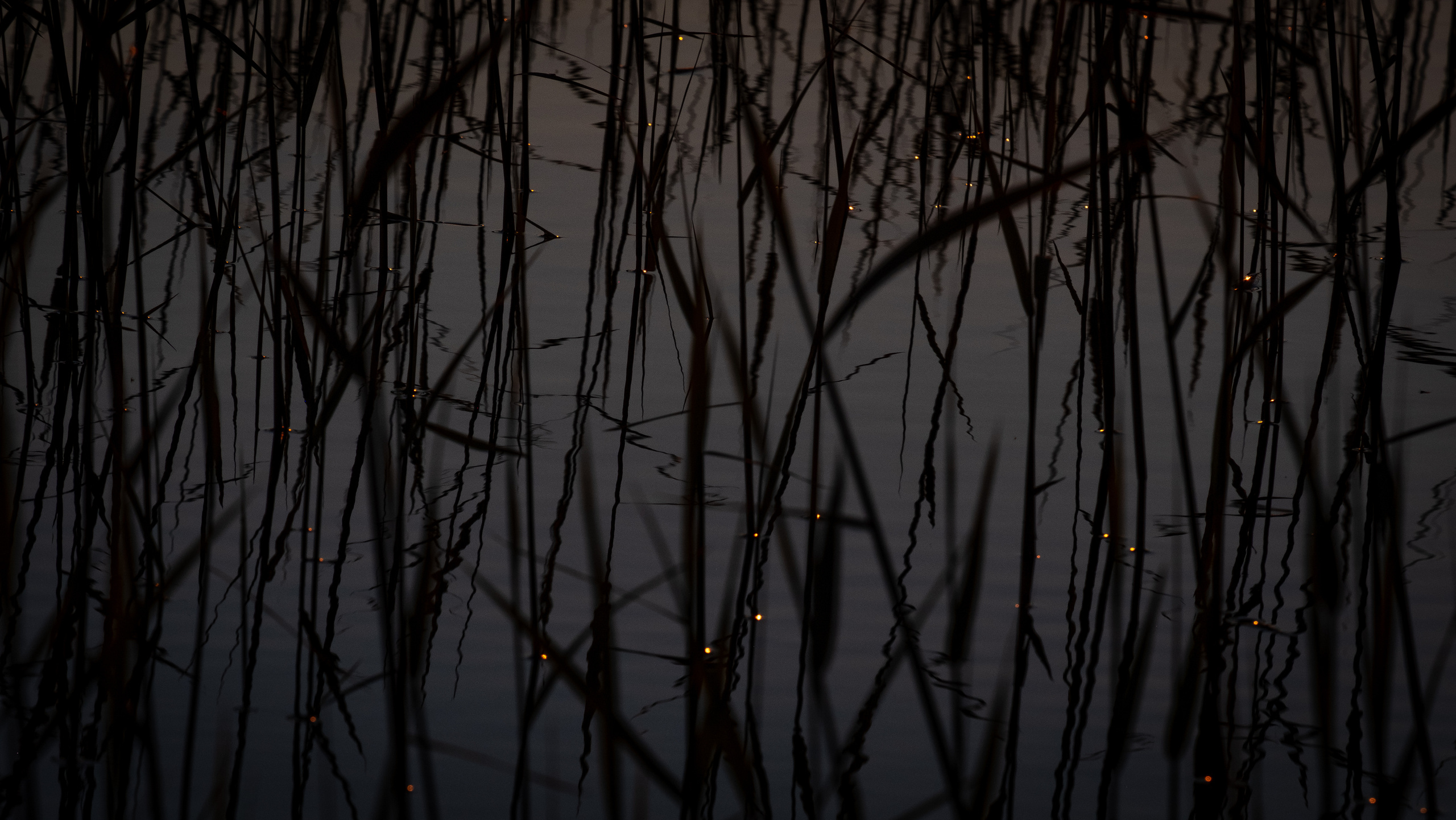 Карелия. ПОБУДЬ ЗДЕСЬ И ЦЕЛЕЕ БУДЕТ ЭТОТ МИР