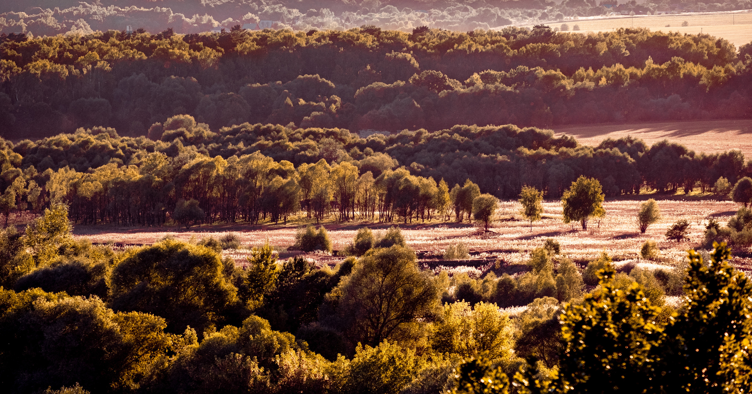 Поленово. ПОБУДЬ ЗДЕСЬ И ЦЕЛЕЕ БУДЕТ ЭТОТ МИР