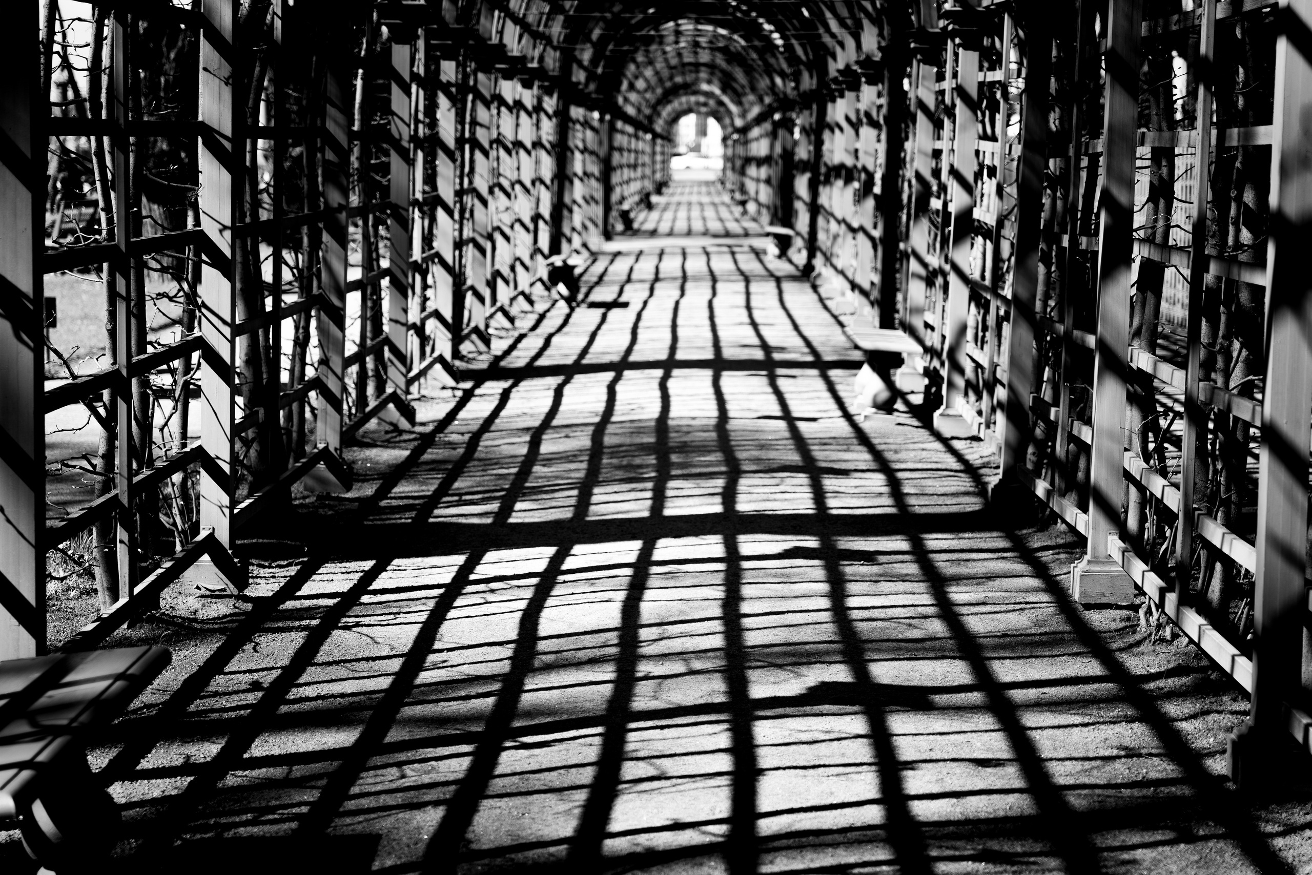 Санкт-Петербург. ПОБУДЬ ЗДЕСЬ И ЦЕЛЕЕ БУДЕТ ЭТОТ МИР