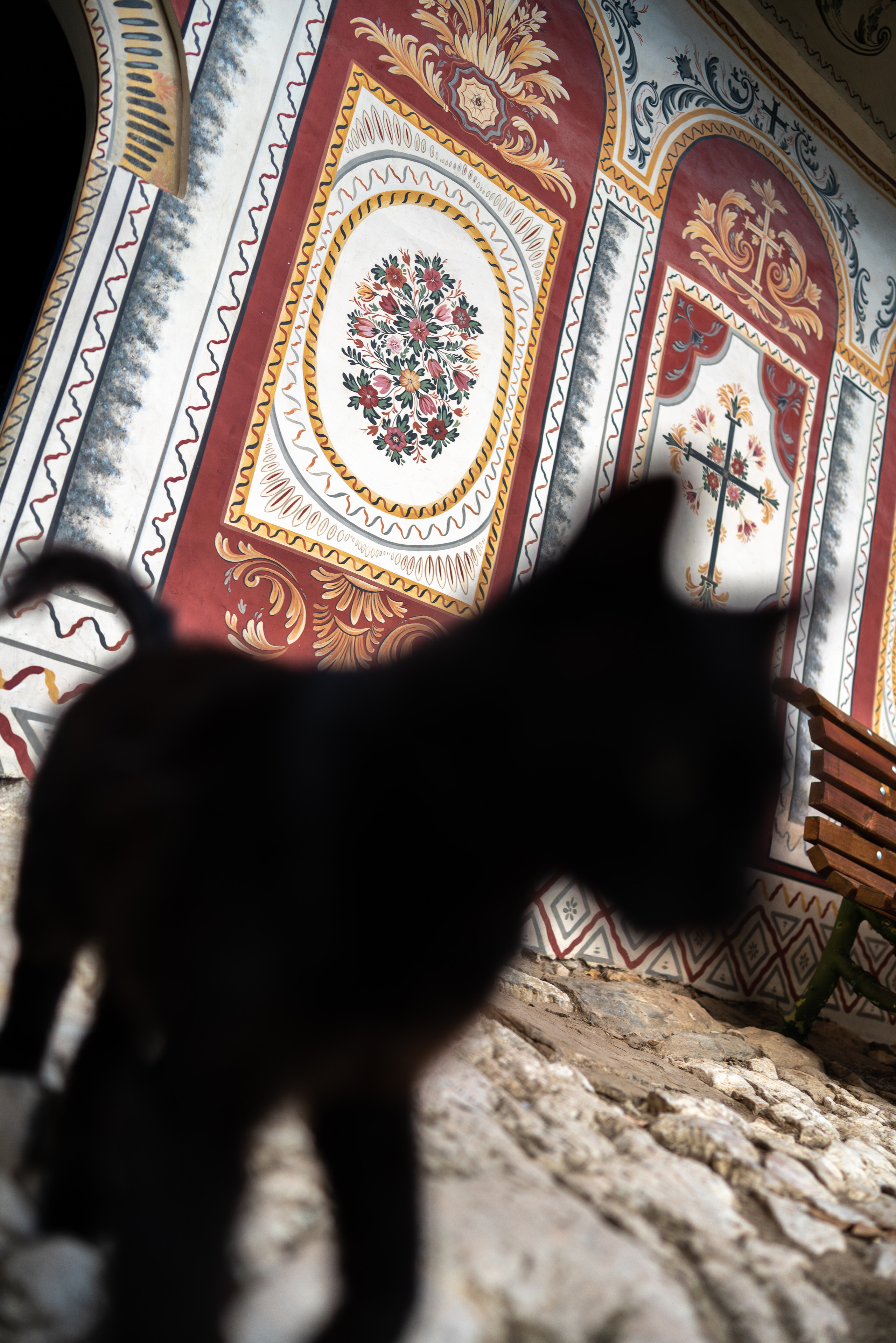 Животные. ПОБУДЬ ЗДЕСЬ И ЦЕЛЕЕ БУДЕТ ЭТОТ МИР