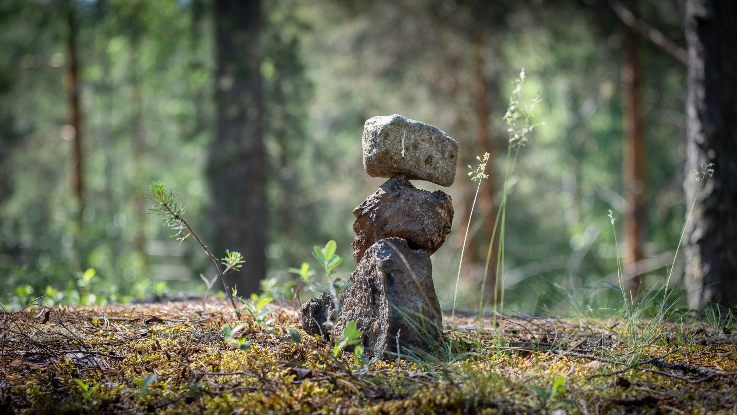 Карелия. ПОБУДЬ ЗДЕСЬ И ЦЕЛЕЕ БУДЕТ ЭТОТ МИР