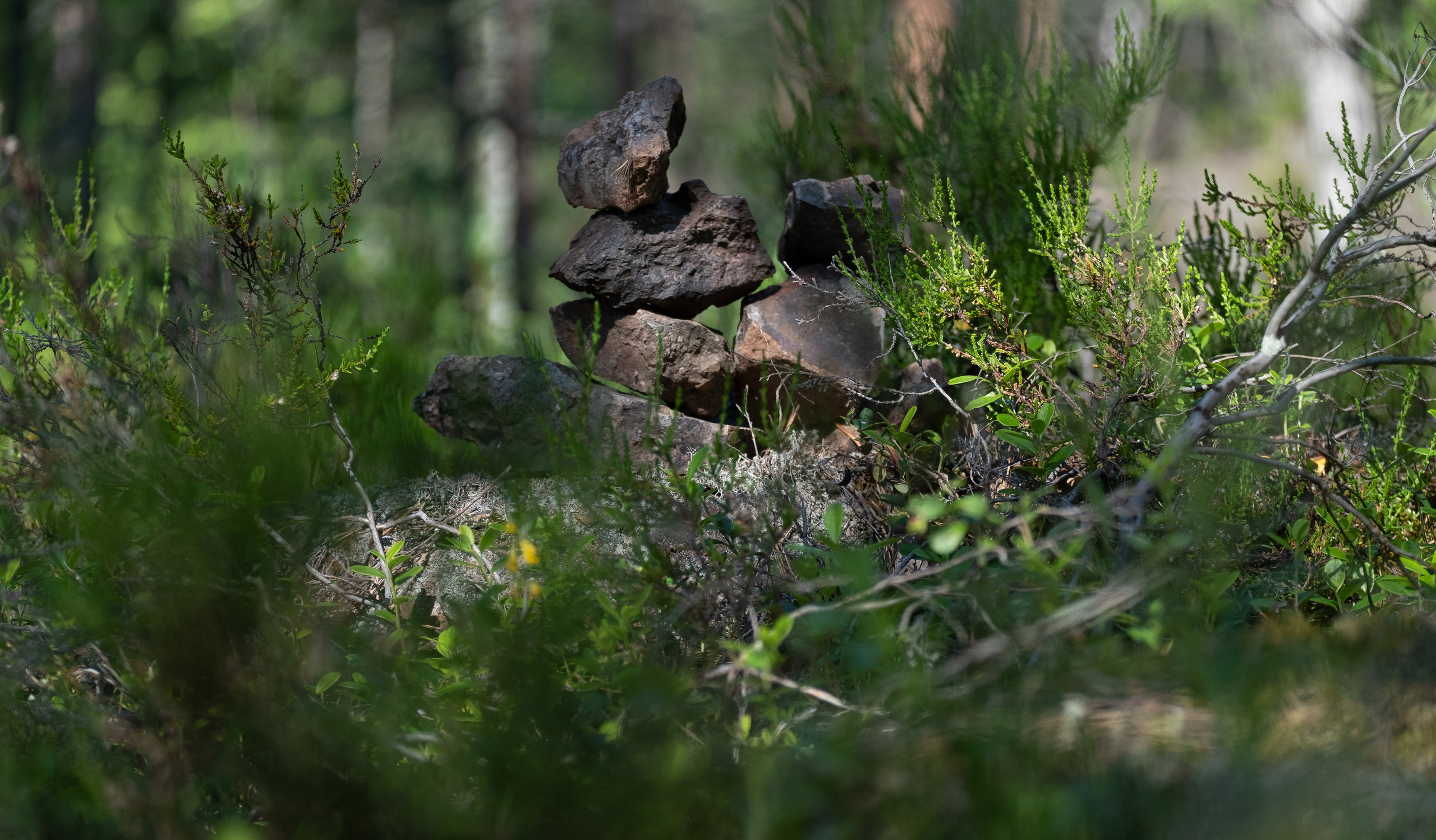 Карелия. ПОБУДЬ ЗДЕСЬ И ЦЕЛЕЕ БУДЕТ ЭТОТ МИР