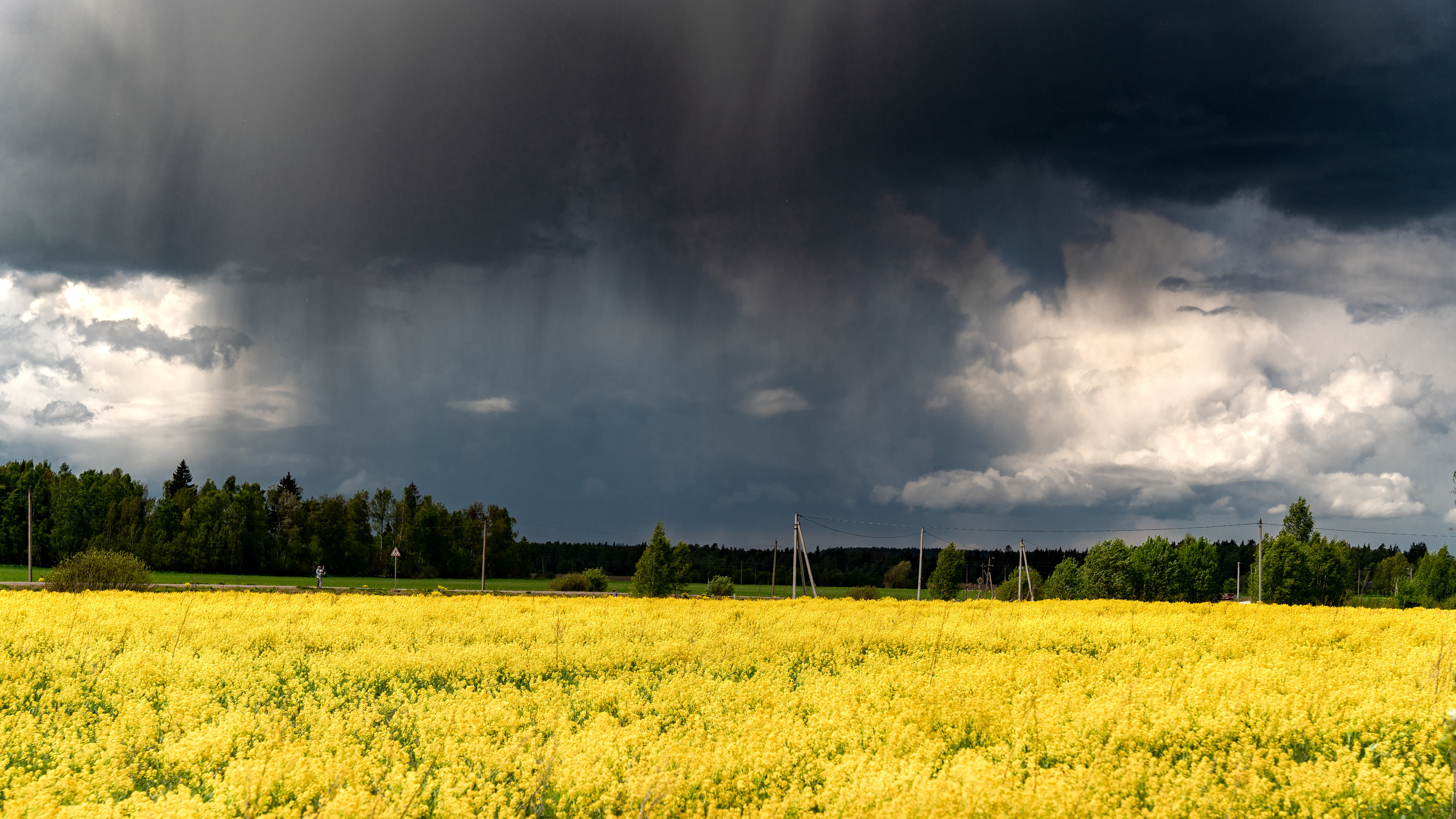 Дача. ПОБУДЬ ЗДЕСЬ И ЦЕЛЕЕ БУДЕТ ЭТОТ МИР