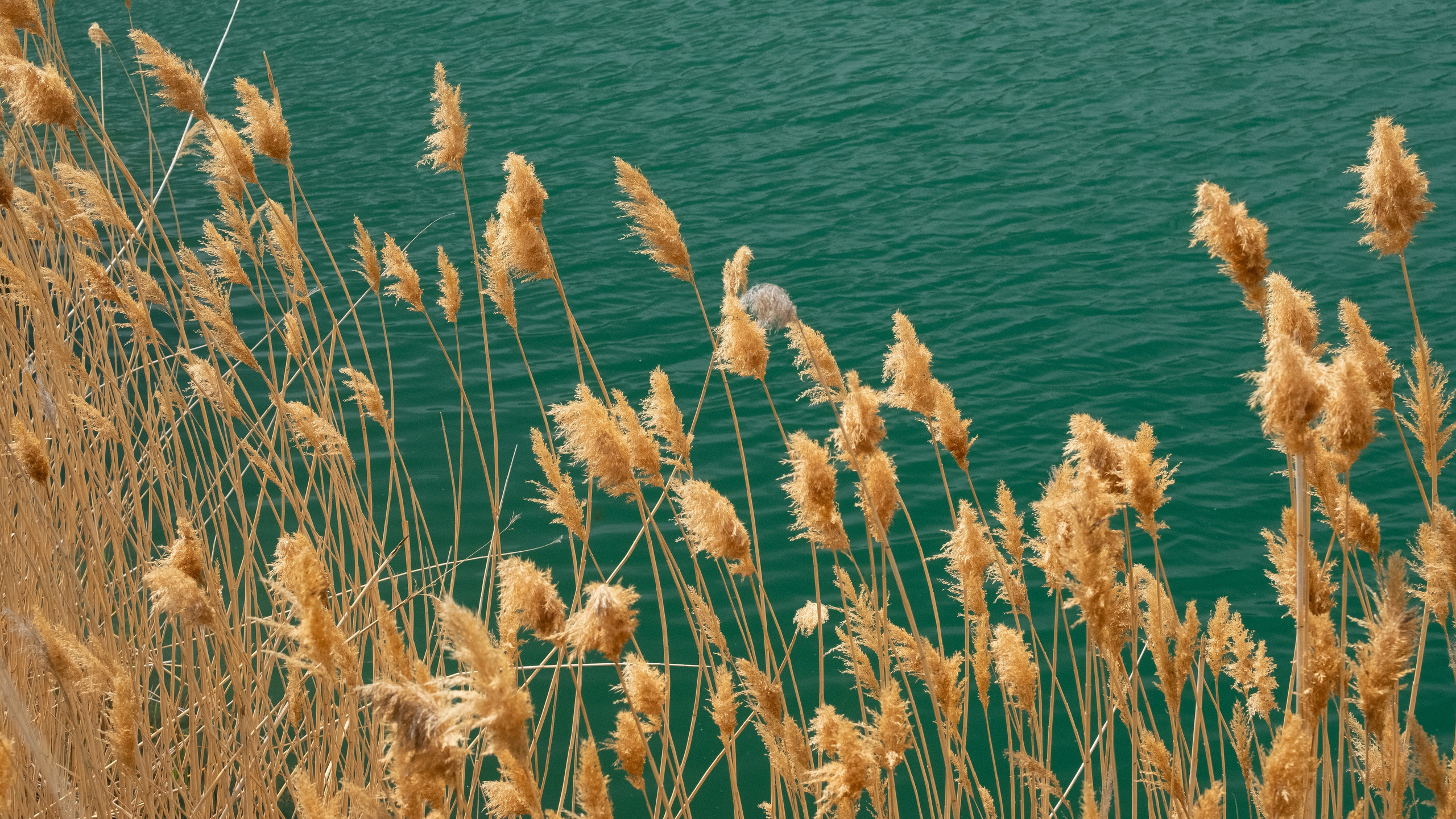 Озеро Гижгит. ПОБУДЬ ЗДЕСЬ И ЦЕЛЕЕ БУДЕТ ЭТОТ МИР