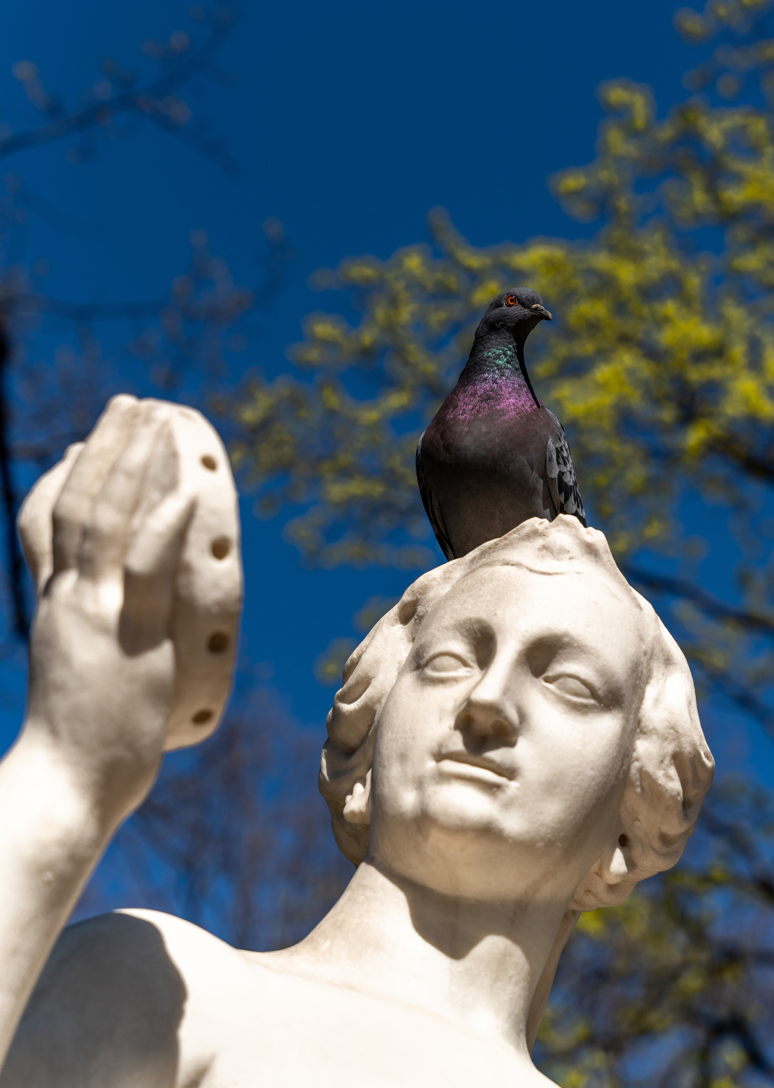 Санкт-Петербург. ПОБУДЬ ЗДЕСЬ И ЦЕЛЕЕ БУДЕТ ЭТОТ МИР