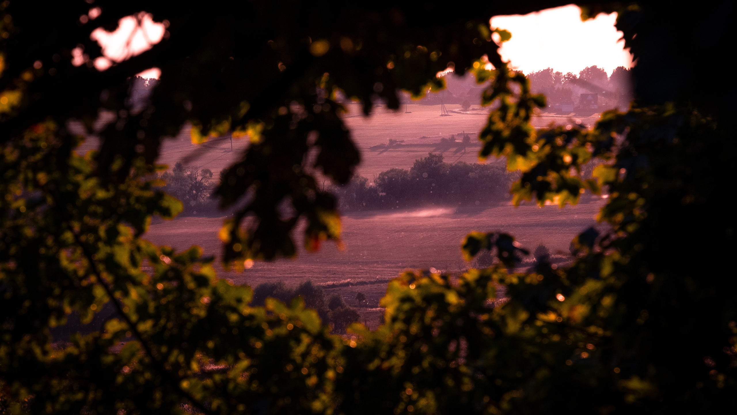 Поленово. ПОБУДЬ ЗДЕСЬ И ЦЕЛЕЕ БУДЕТ ЭТОТ МИР