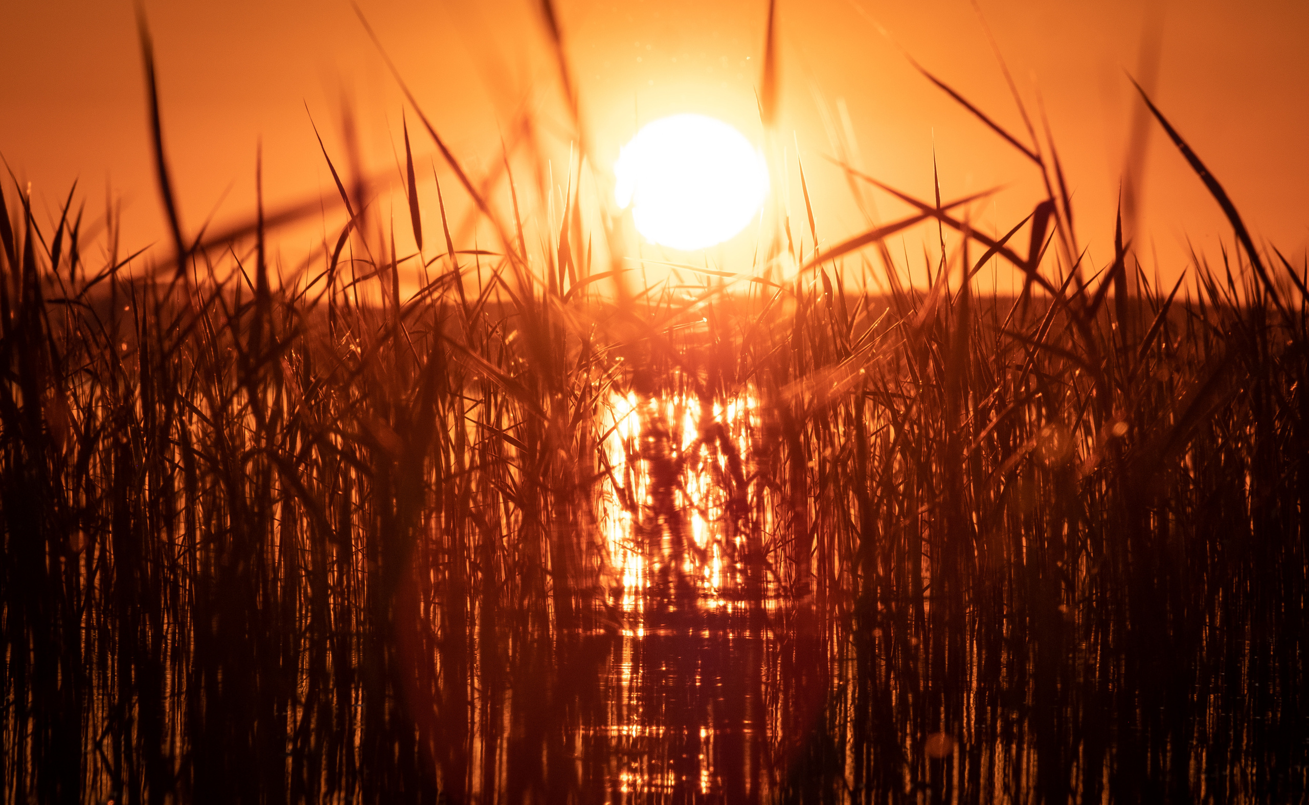 Карелия. ПОБУДЬ ЗДЕСЬ И ЦЕЛЕЕ БУДЕТ ЭТОТ МИР