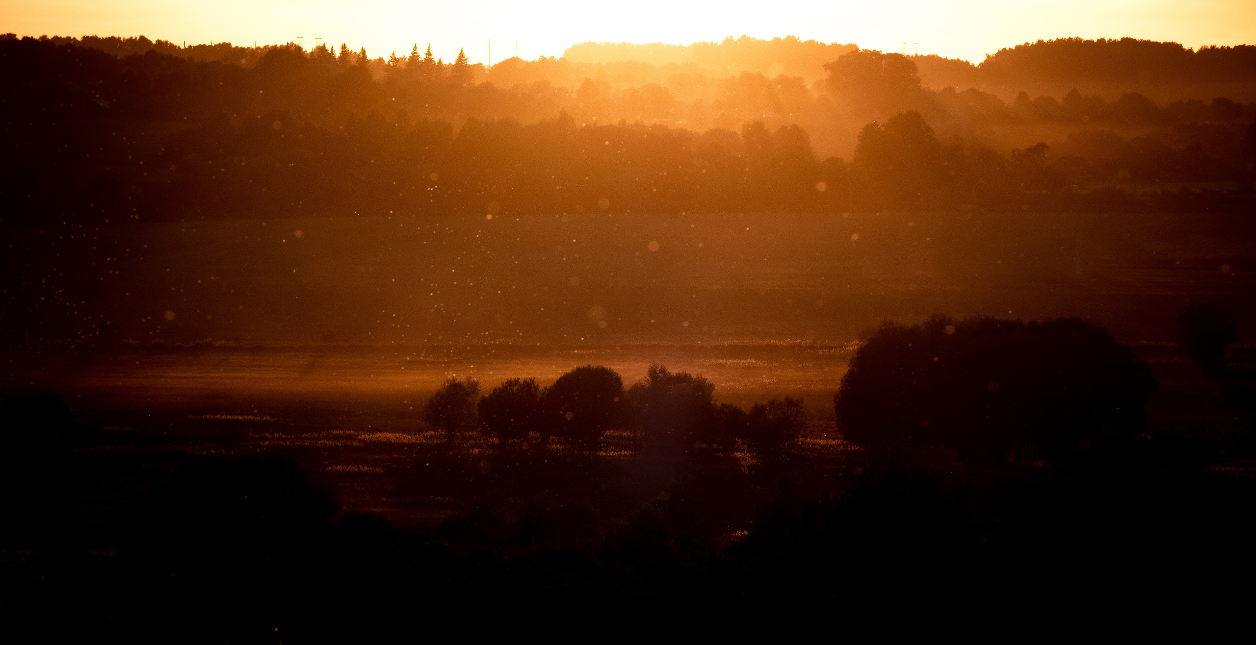 Поленово. ПОБУДЬ ЗДЕСЬ И ЦЕЛЕЕ БУДЕТ ЭТОТ МИР