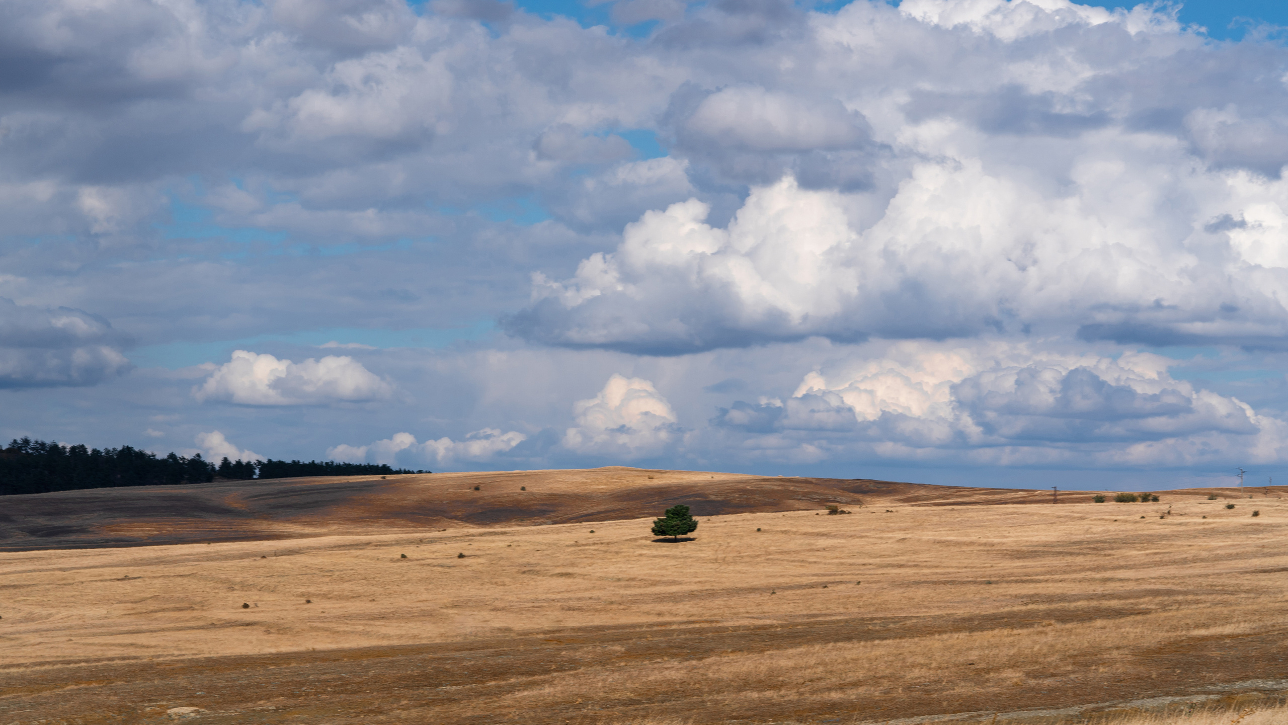 Велико Тырново, Шипка. ПОБУДЬ ЗДЕСЬ И ЦЕЛЕЕ БУДЕТ ЭТОТ МИР