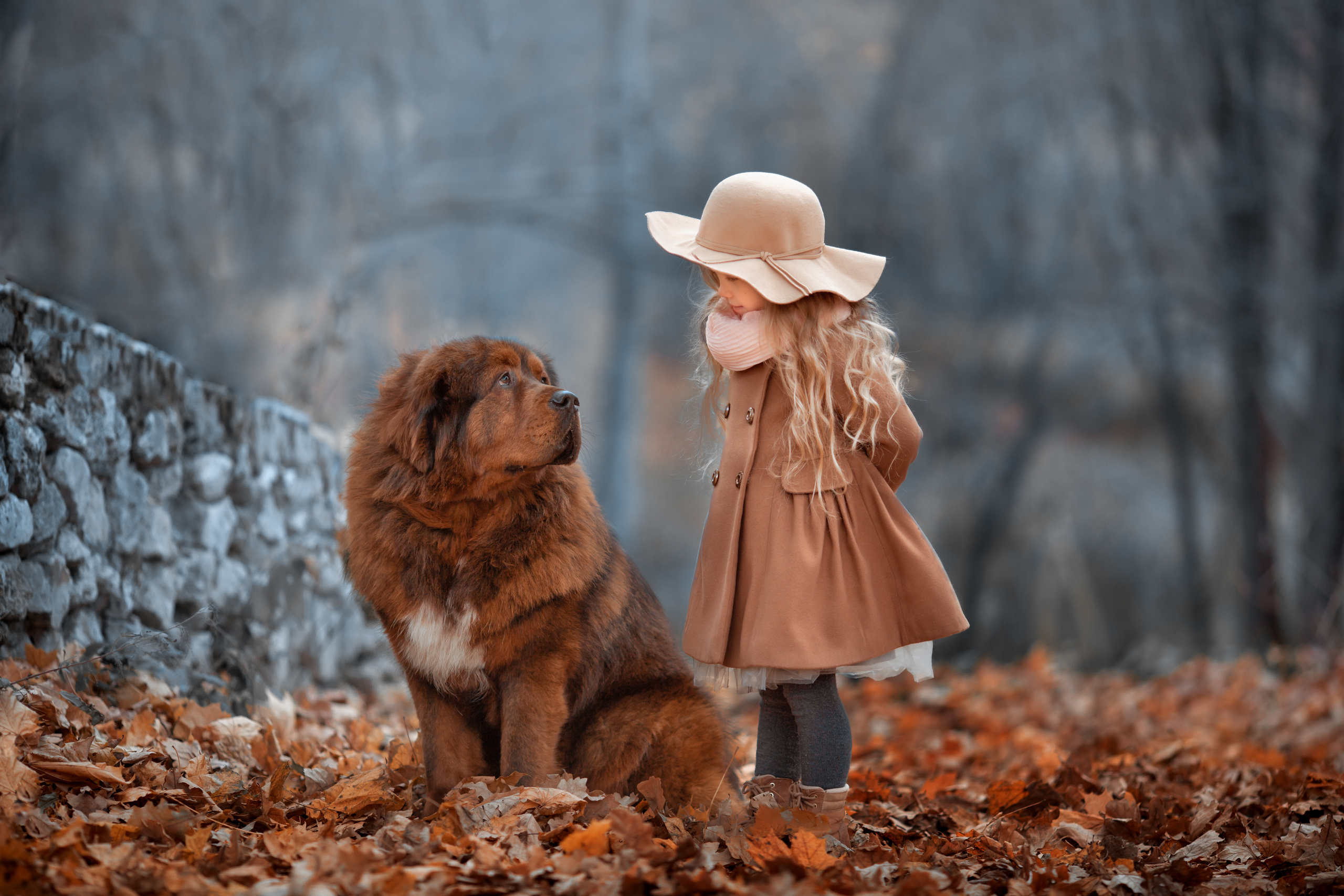 Детская фотосъемка в Нижнем новгороде. Arma Gray — Нижний Новгород