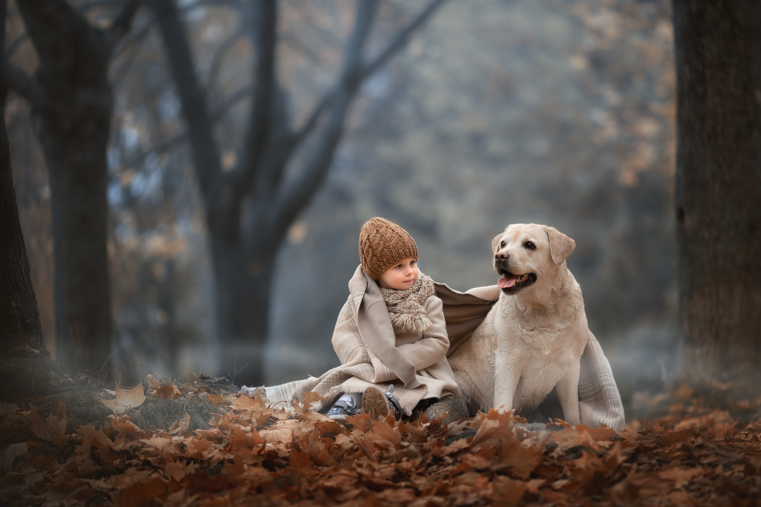 Детская фотосъемка в Нижнем новгороде. Arma Gray — Нижний Новгород