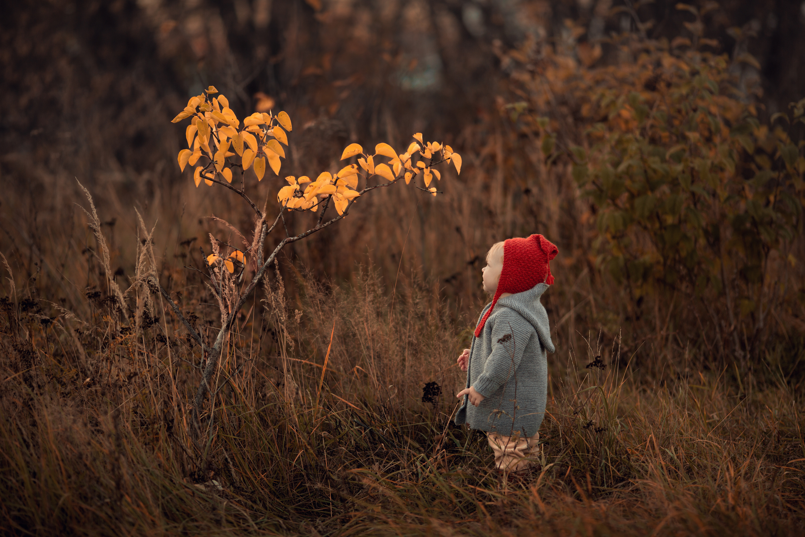 Детская фотосъемка в Нижнем новгороде. Arma Gray — Нижний Новгород