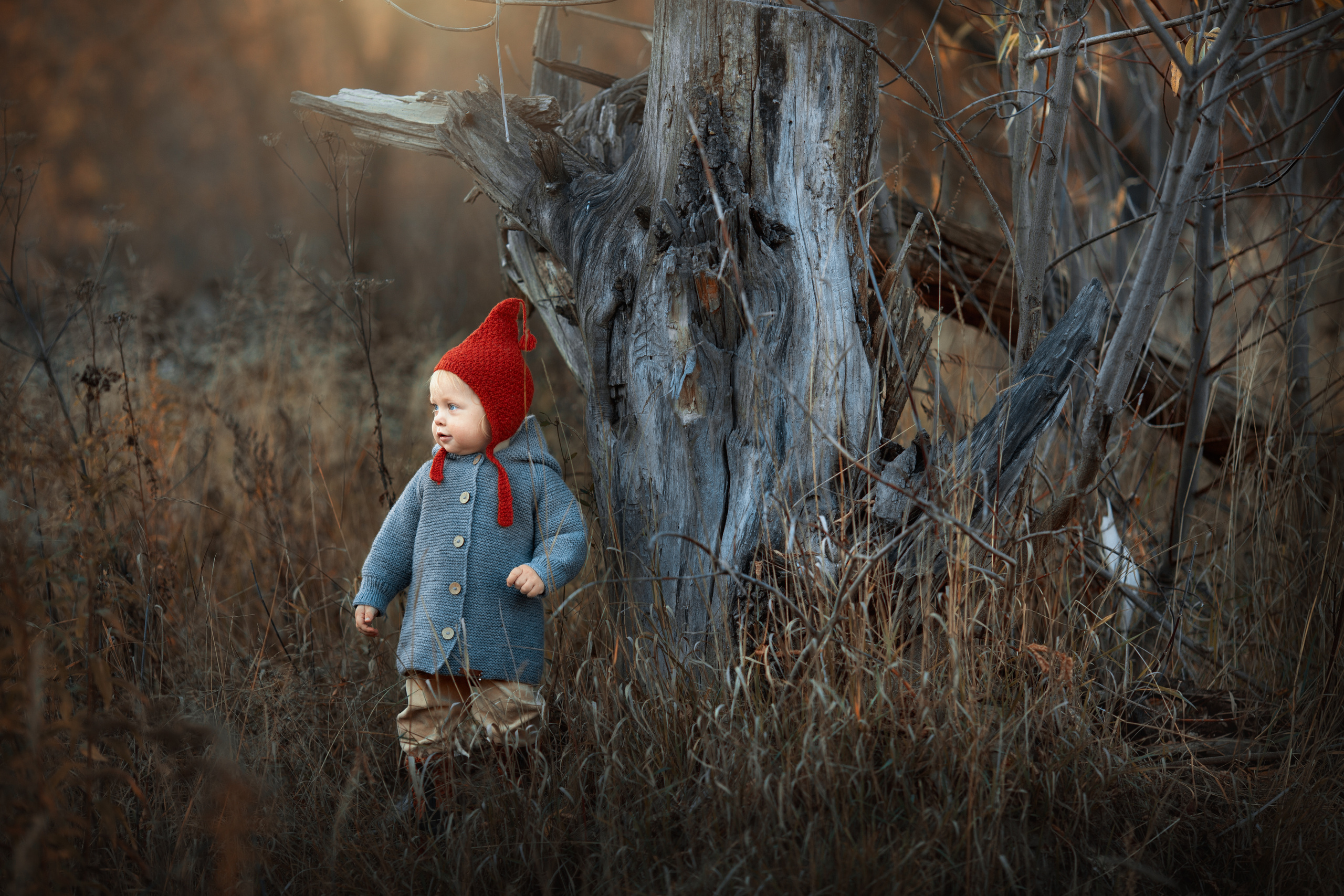 Детская фотосъемка в Нижнем новгороде. Arma Gray — Нижний Новгород