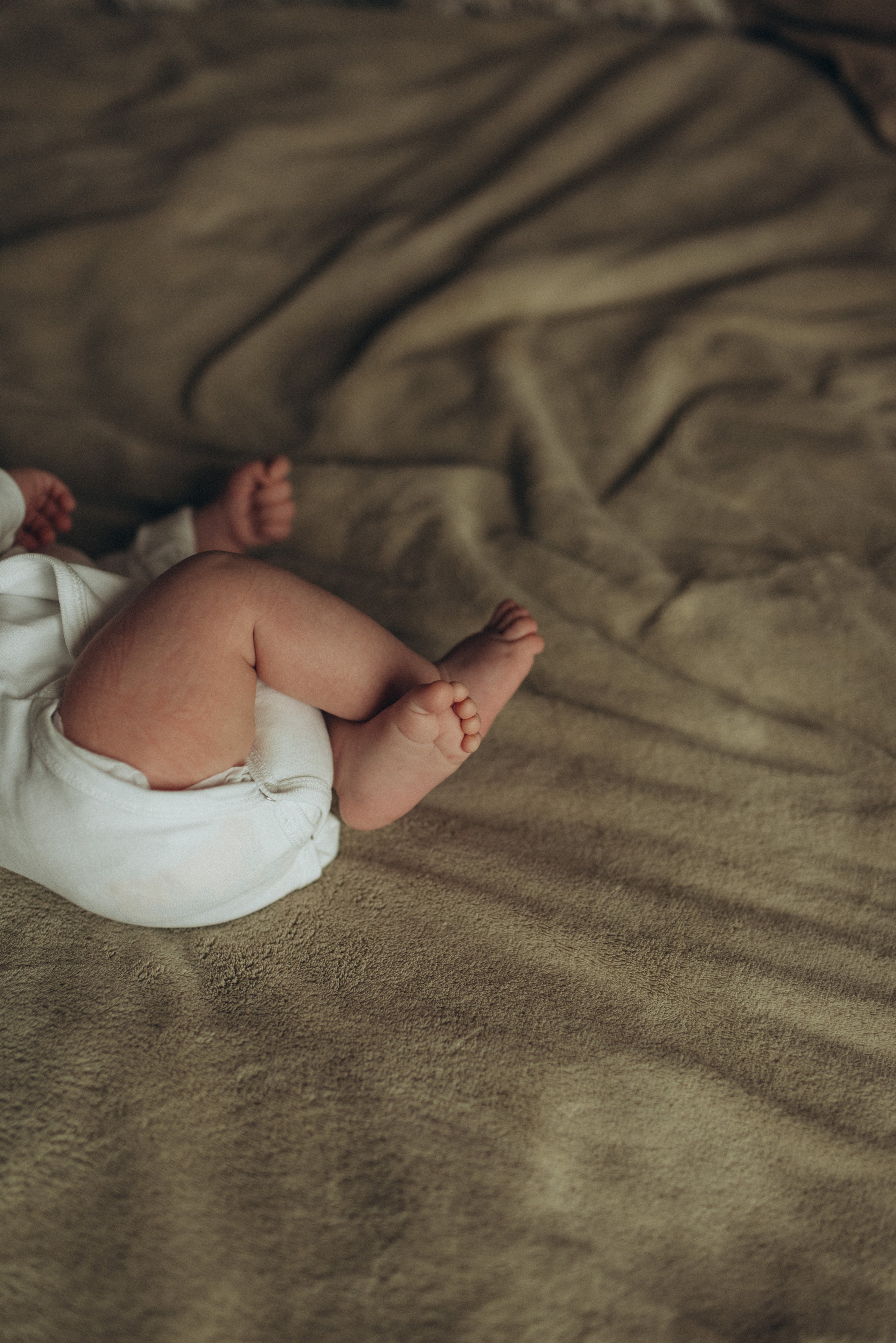 Всеволод. Семейный фотограф в Москве Екатерина Север
