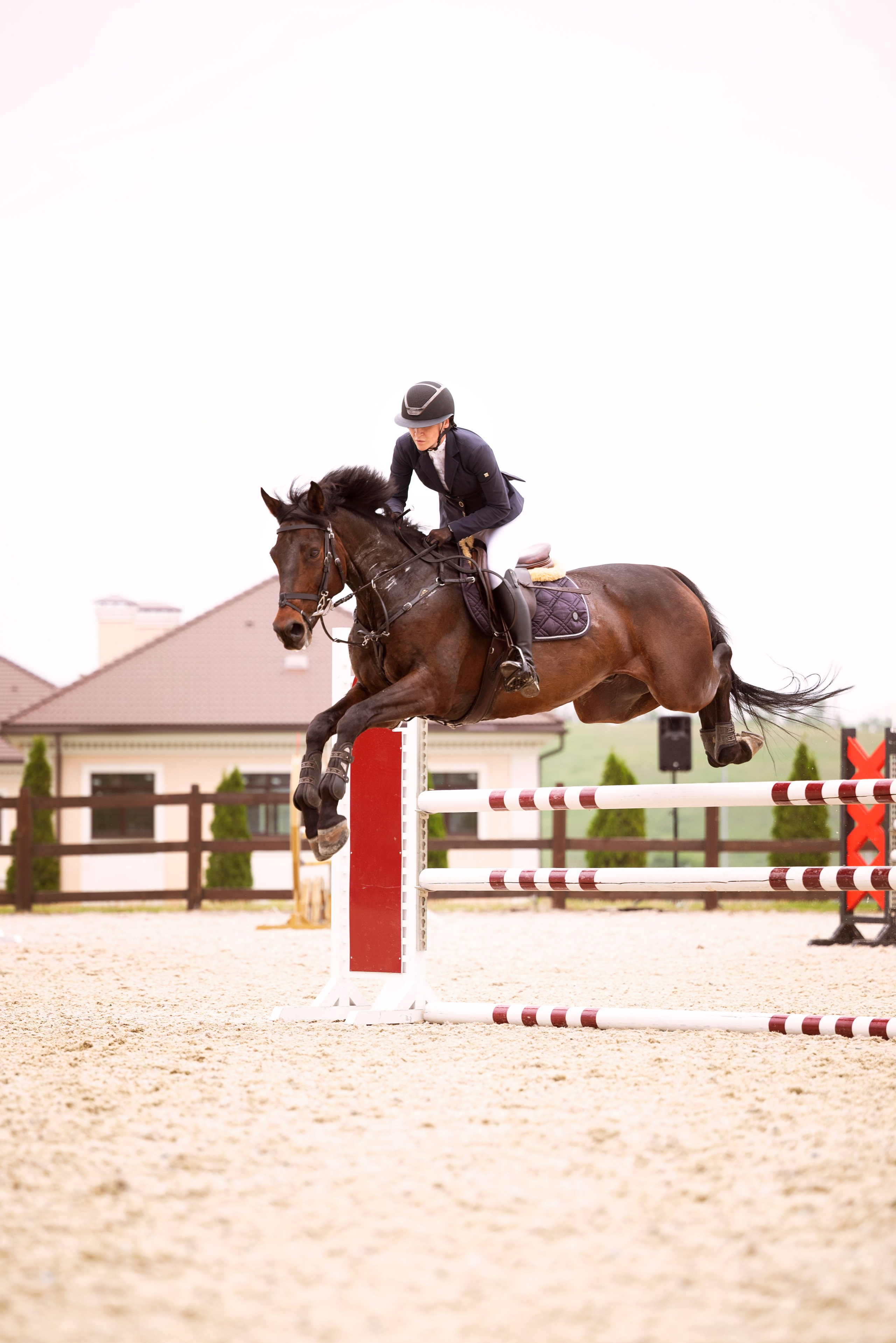 КСК ГЕРМЕС. Мила Астахова