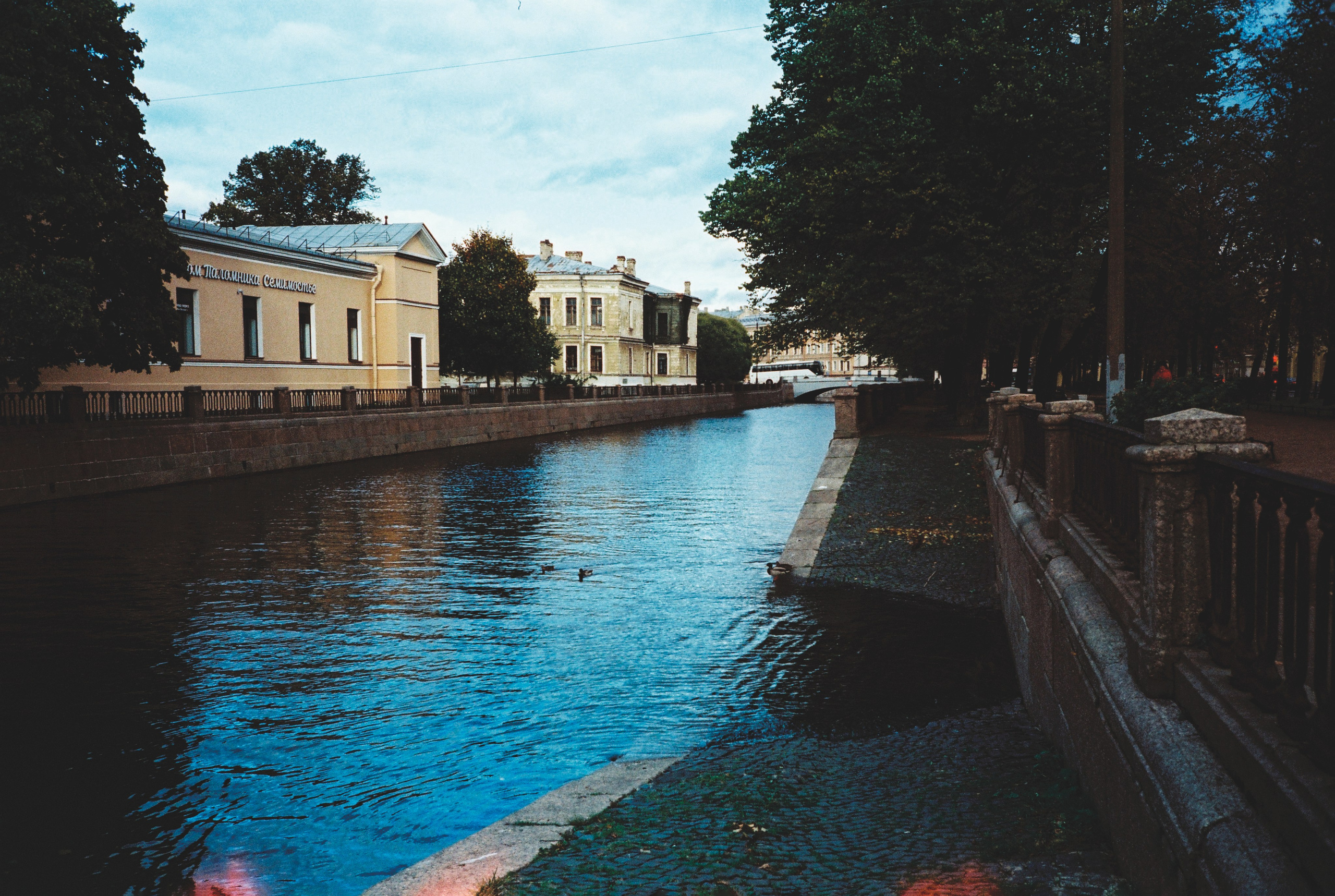 Фотографии цветные. Свадебный и семейный пленочный фотограф в Петербурге Истомина Ирина