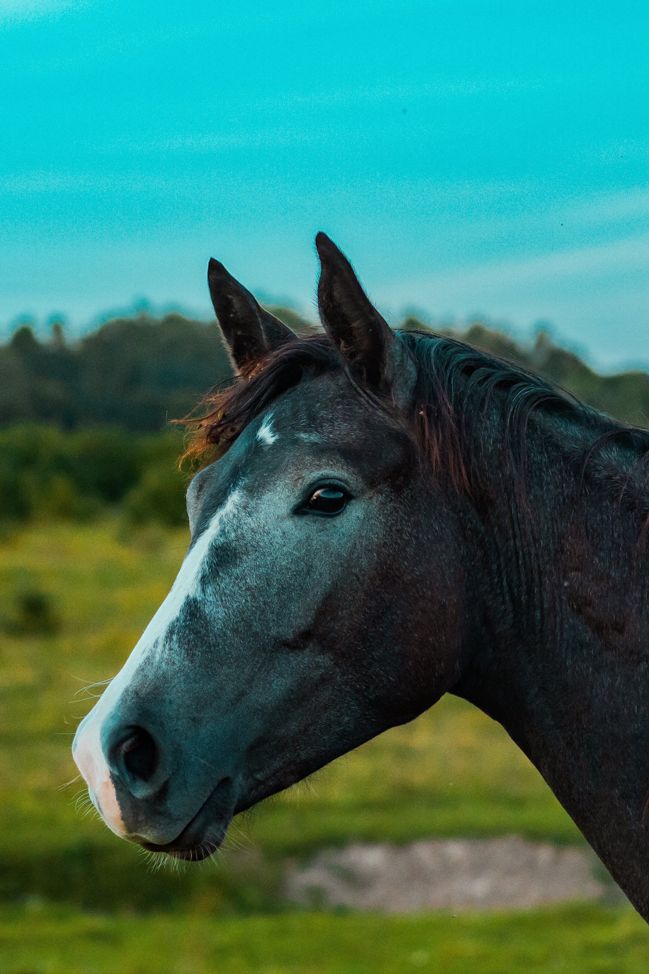 Деревня Мишнево | Калужская область. Папка кадров 📁