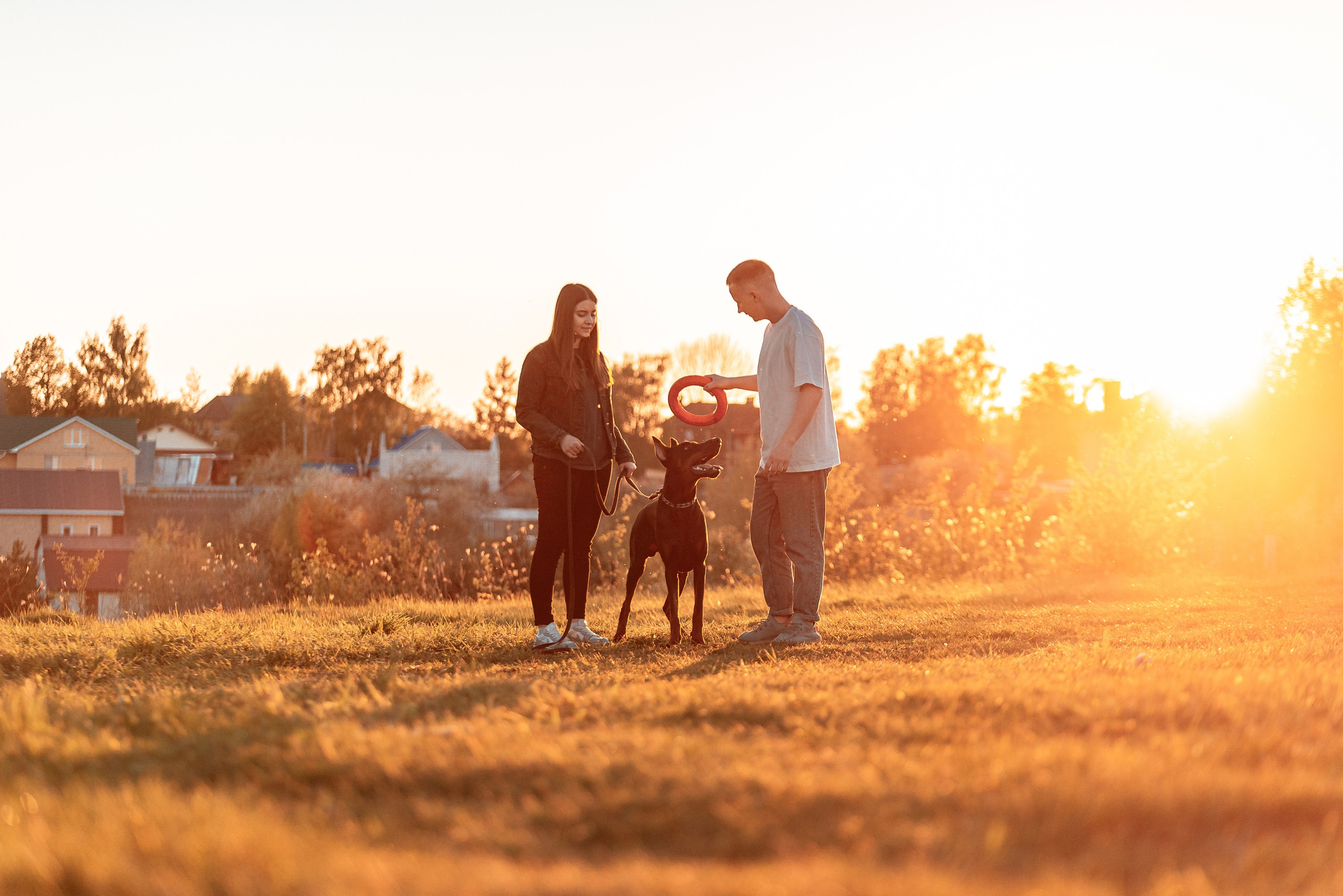 Юля, Андрей и Арес. Фотограф-анималист Анастасия Парфенова|Екатеринбург