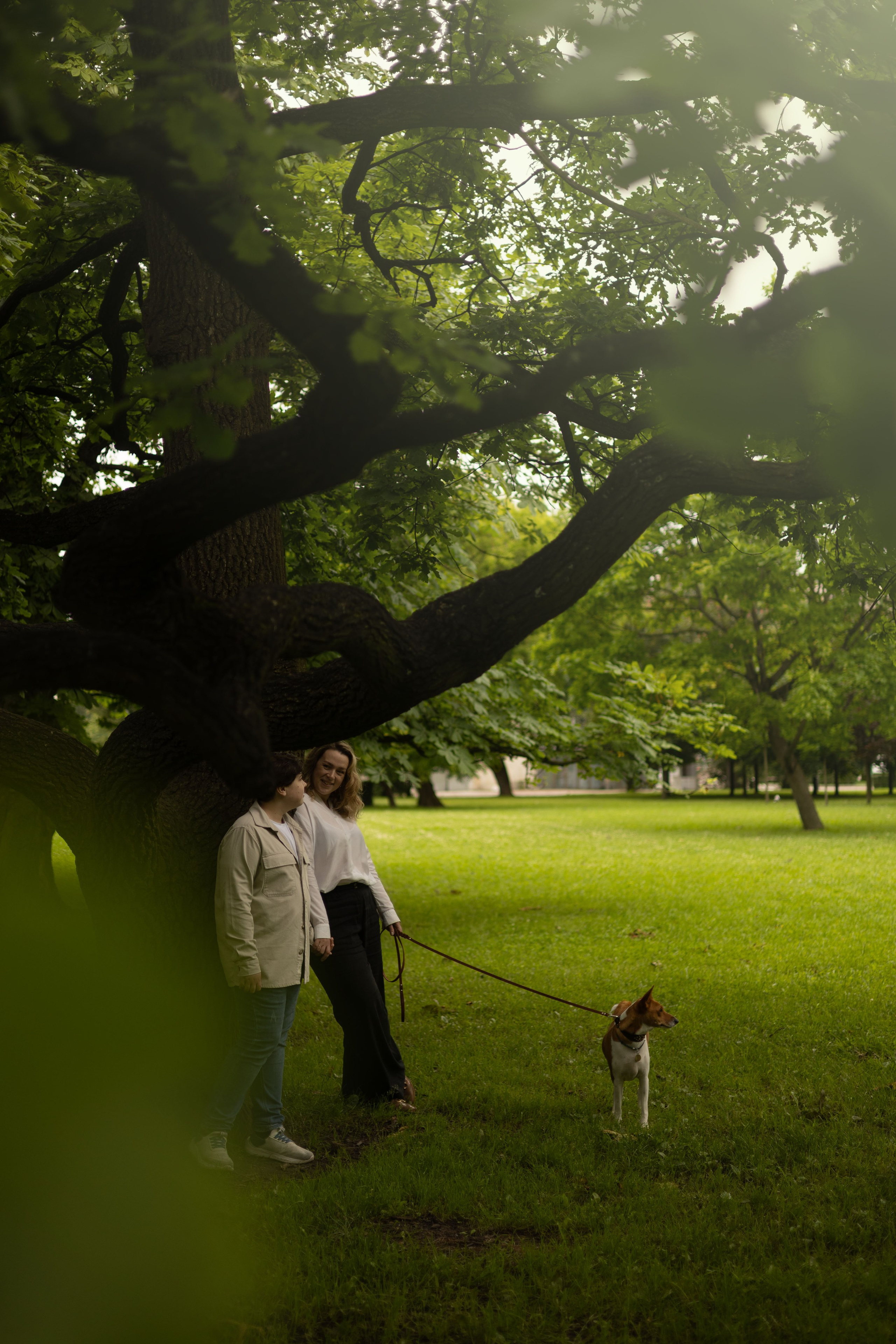 Ольга, Тимофей и Аурис. Фотограф животных Евгения Верцинская
