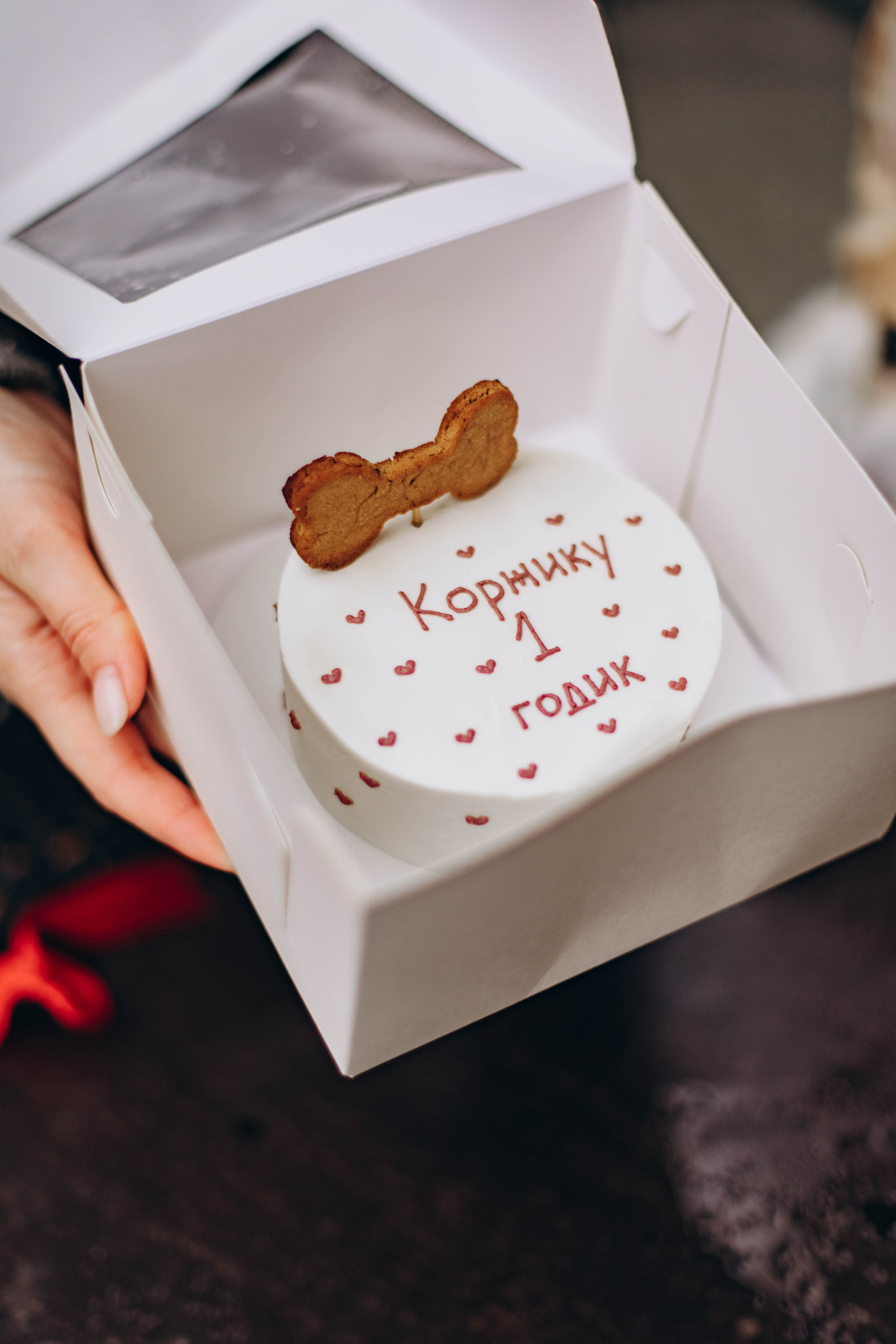 Ксюша и Коржик. Семейный фотограф Москва Ирина Малышева