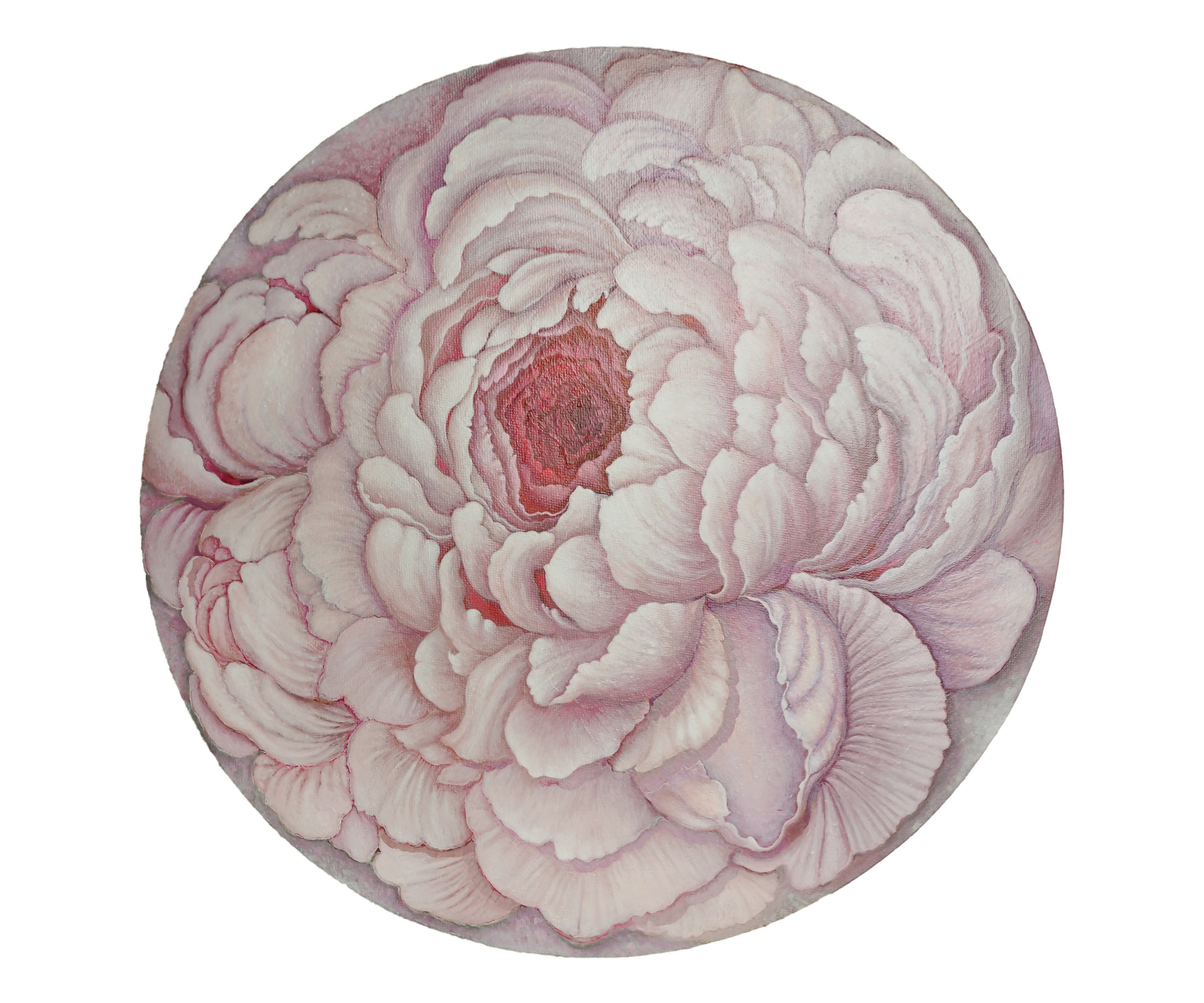 Картины. Фотограф Ольга Махалова — Санкт-Петербург, Москва, Нижний Новгород