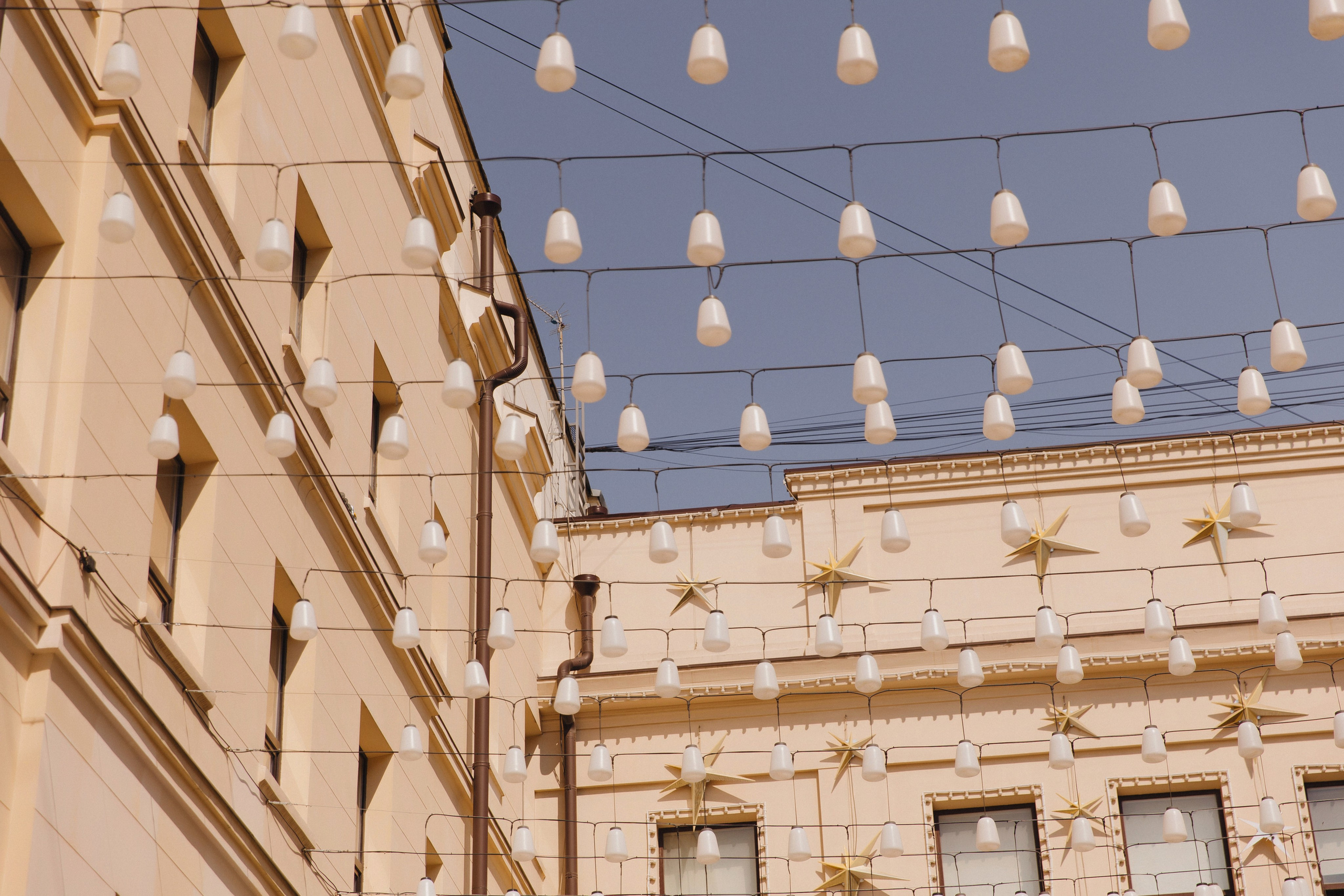 V ❤ V. Syrovatkina_Photographer.ru