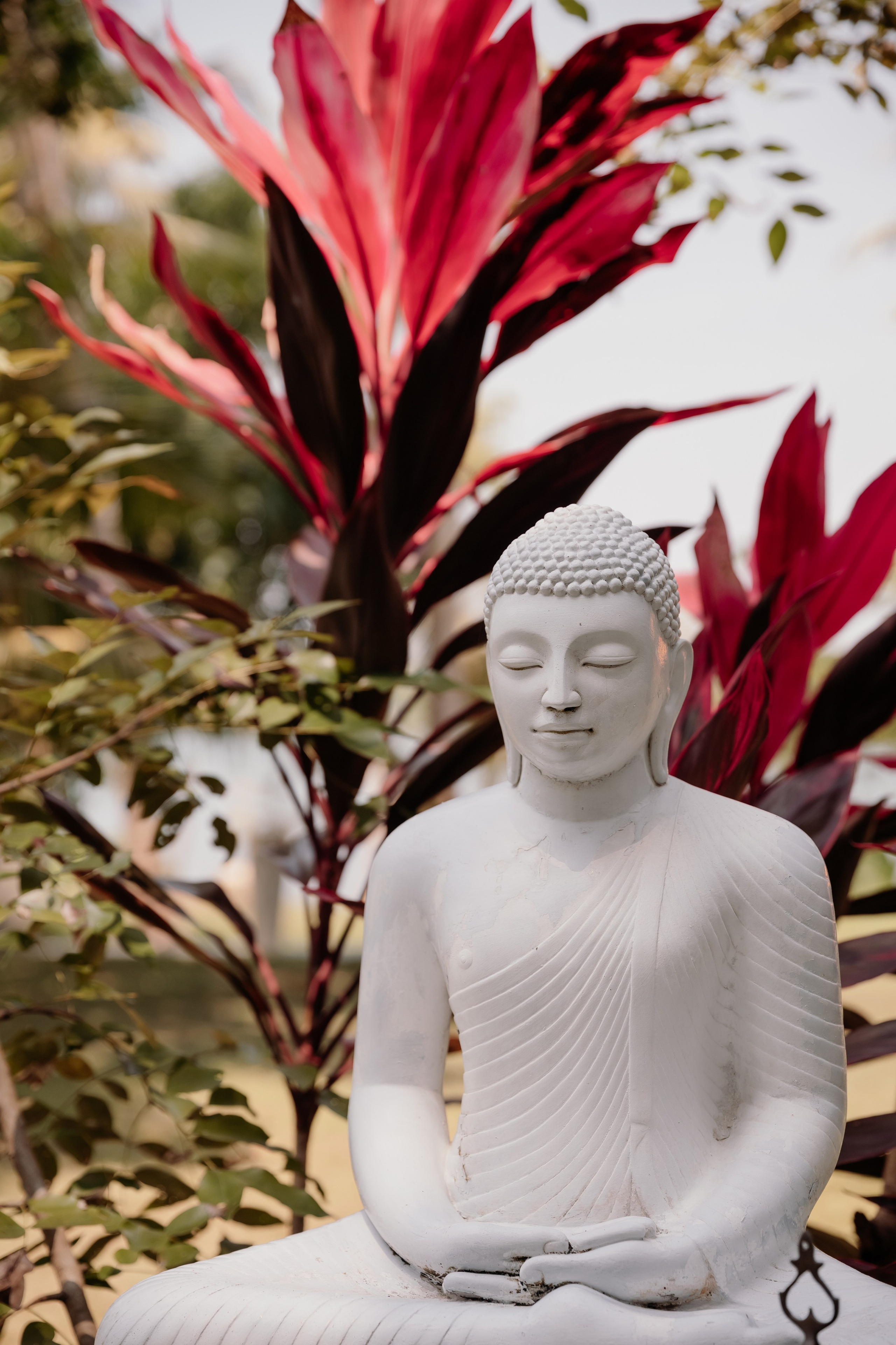 Yoga First Sri Lanka. Katerina Spekhova