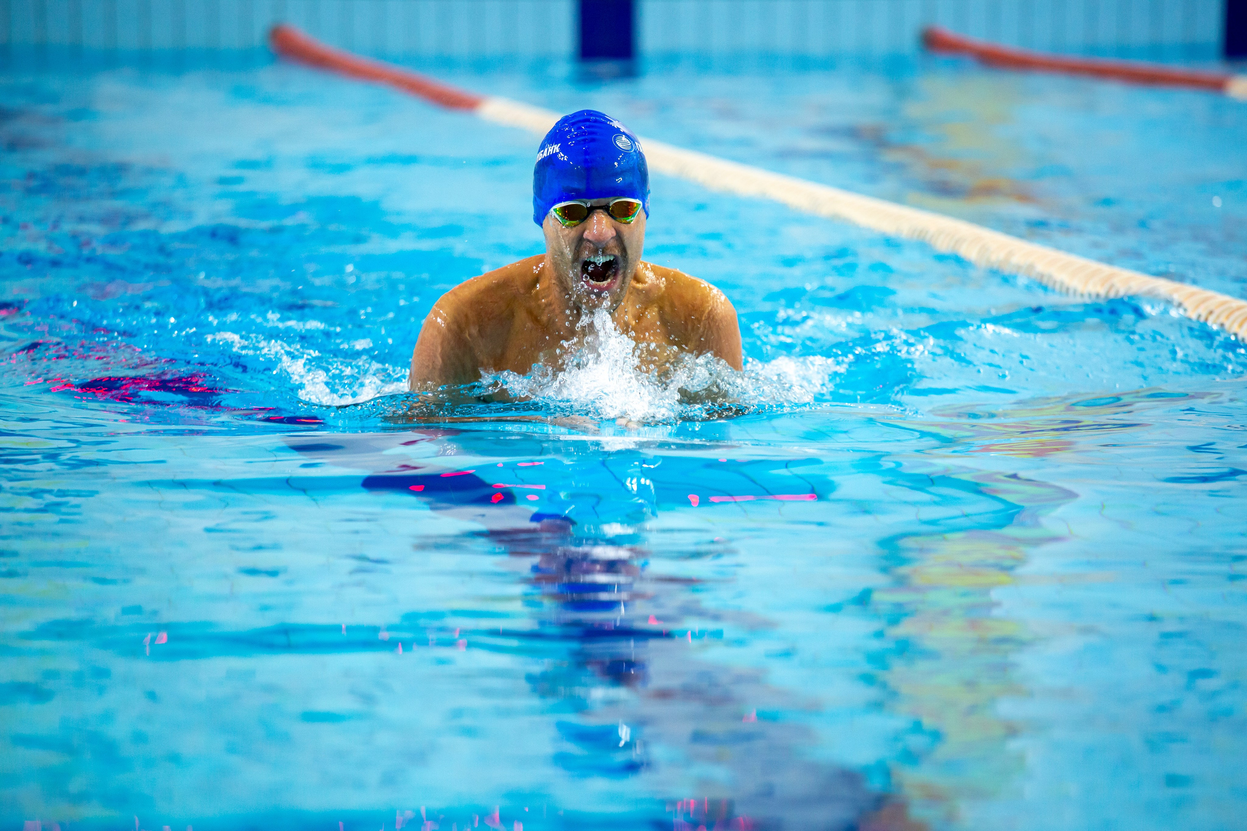 Турнир по плаванию. Репортажный, семейный, свадебный, портретный фотограф